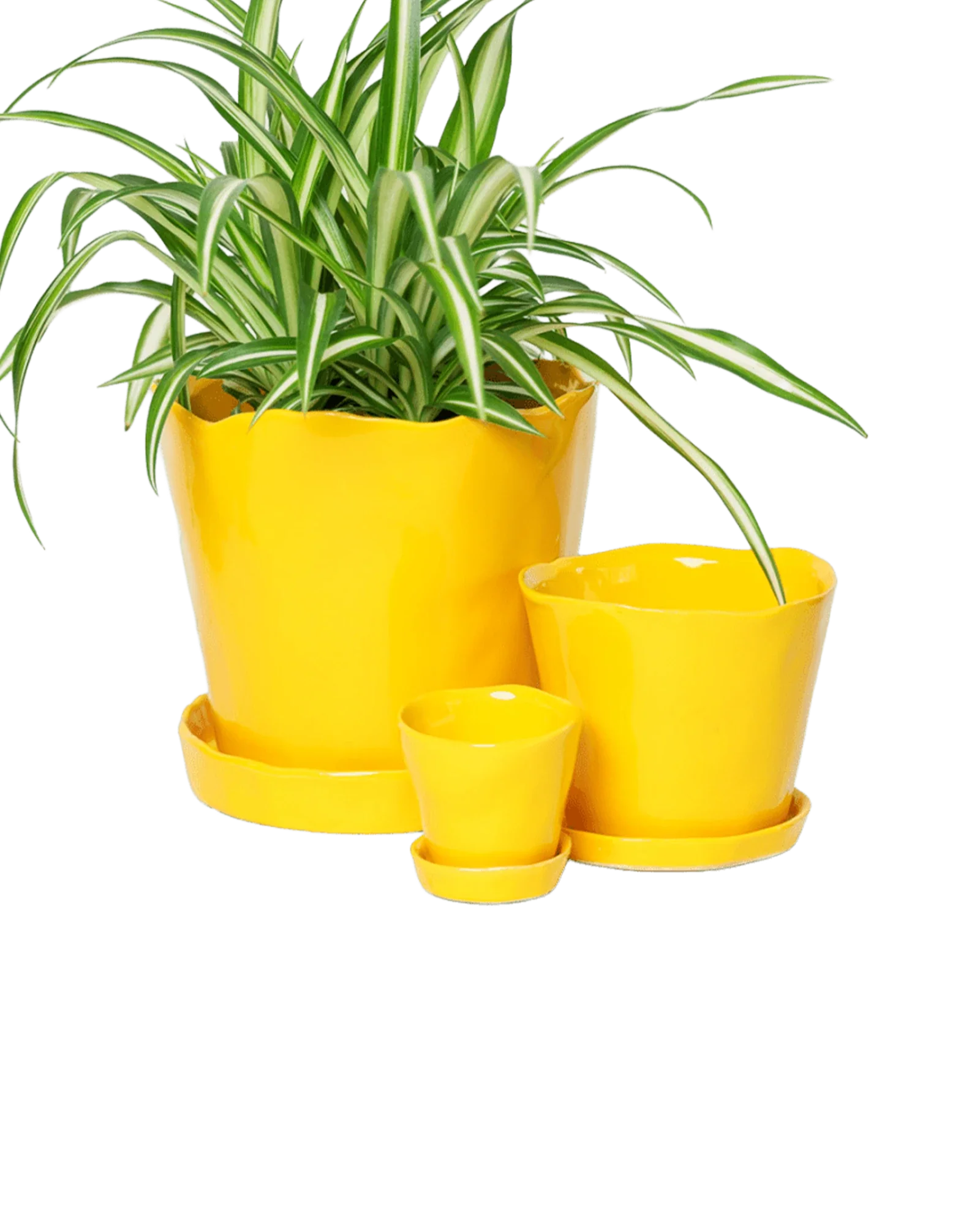 Tika Large Ceramic Plant Pot with Drainage Hole and Saucer, Meadowlark Yellow - Image 4