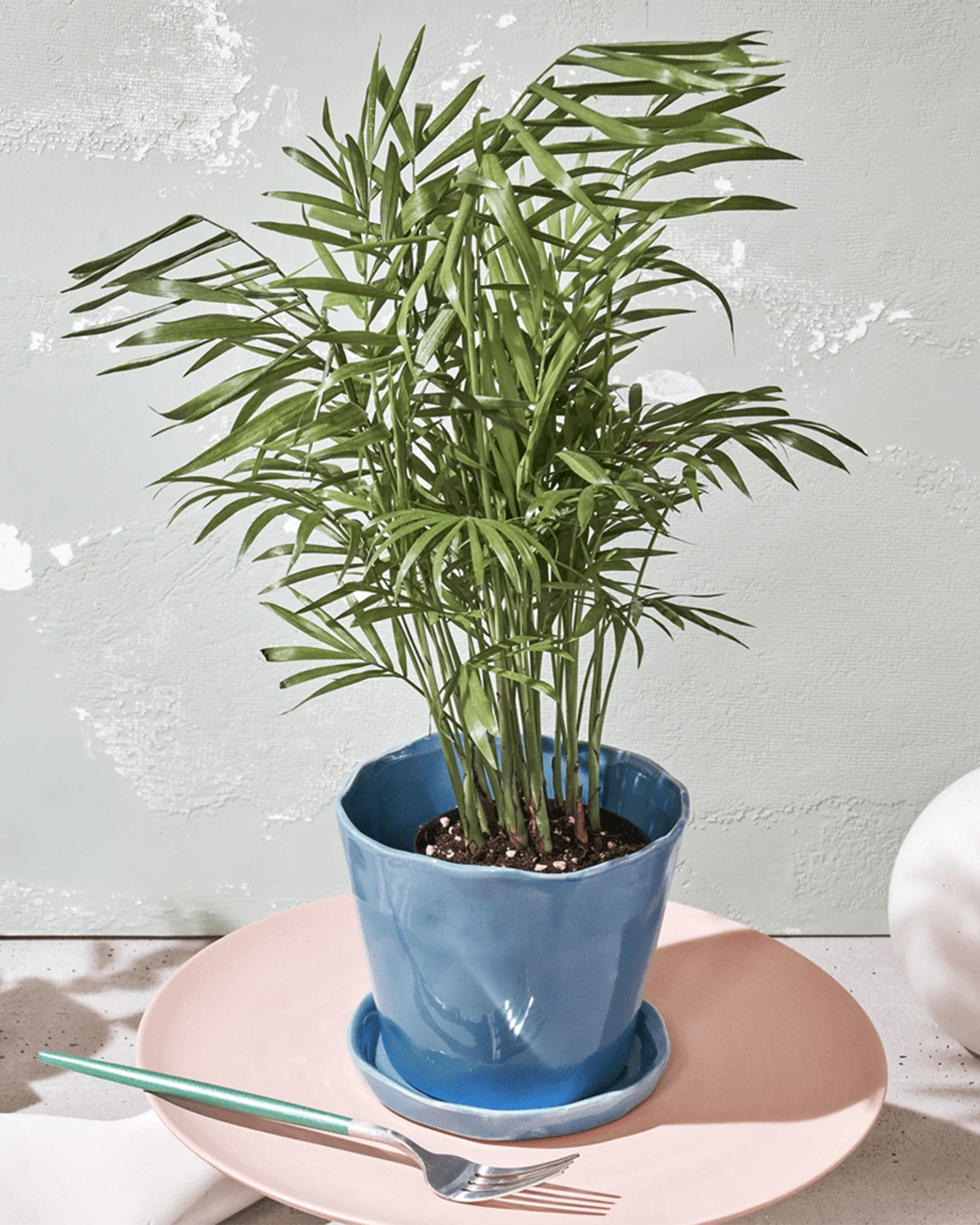 Tika Large Ceramic Plant Pot with Drainage Hole and Saucer, Periwinkle - Image 6