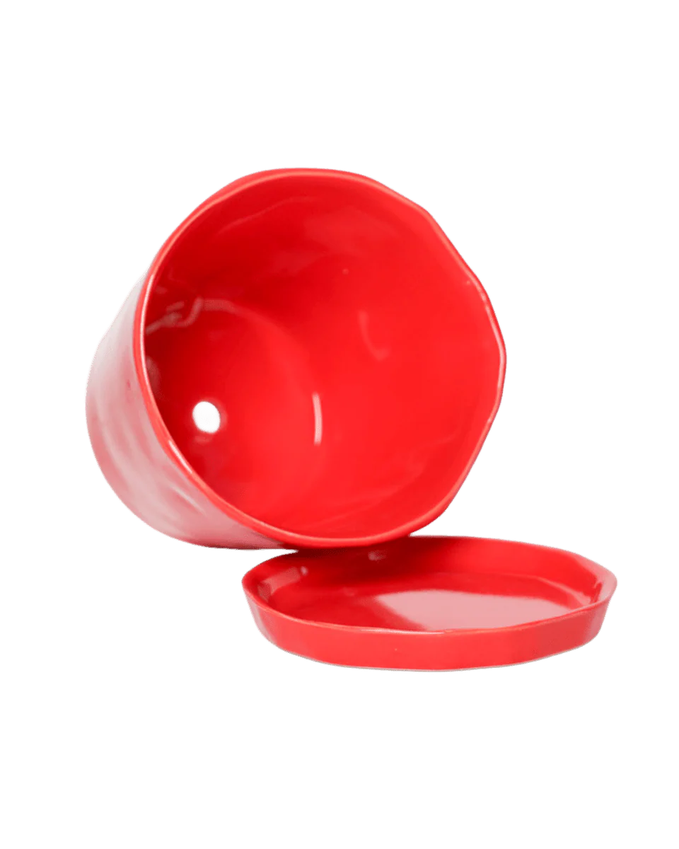 Tika Large Ceramic Plant Pot with Drainage Hole and Saucer, Red - Image 4