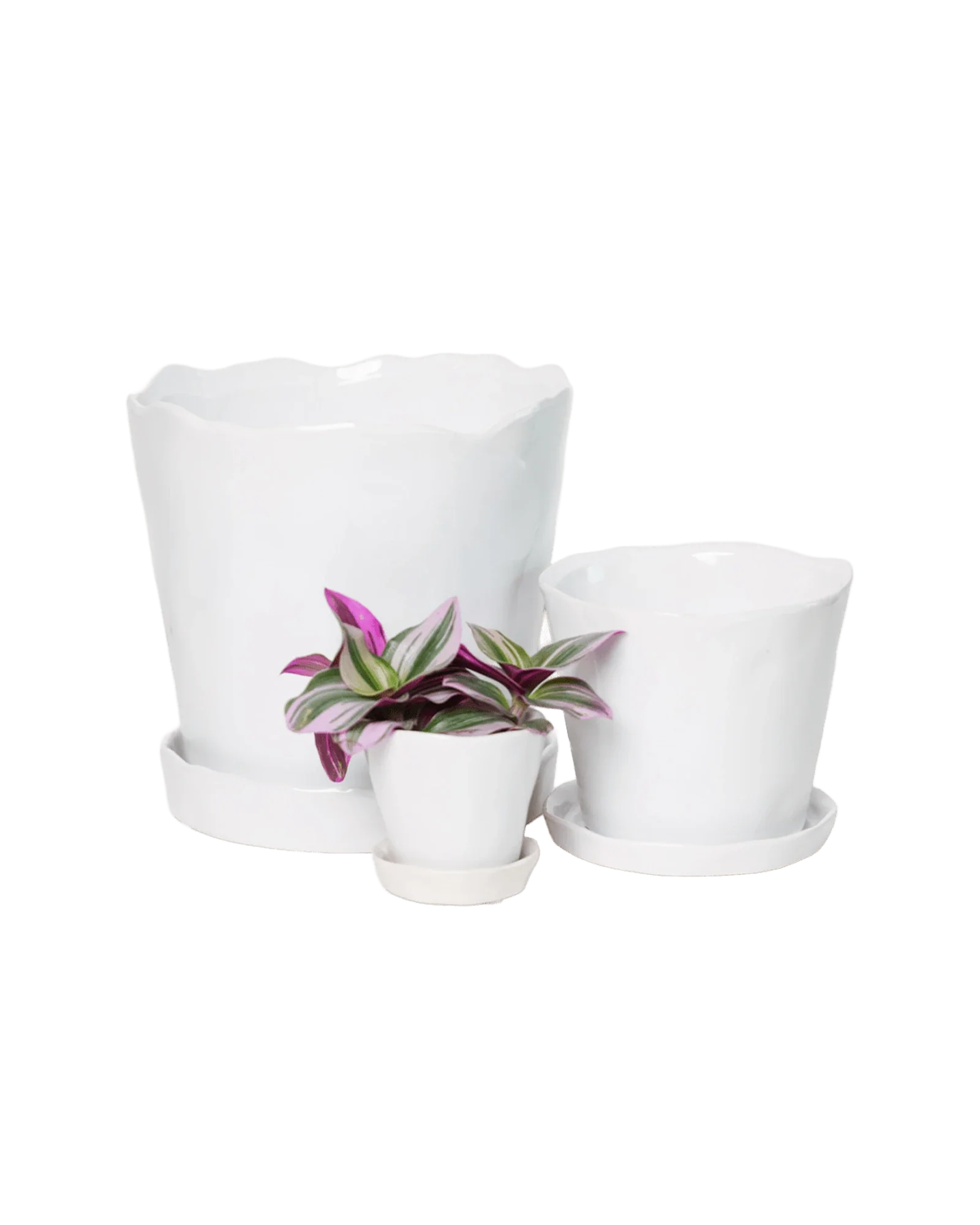 Tika Large Ceramic Plant Pot with Drainage Hole and Saucer, White - Image 5