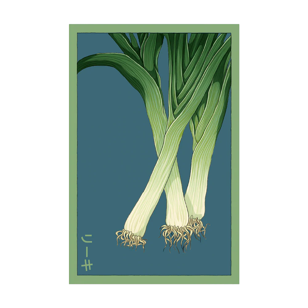Leek Vegetable Seeds Packet