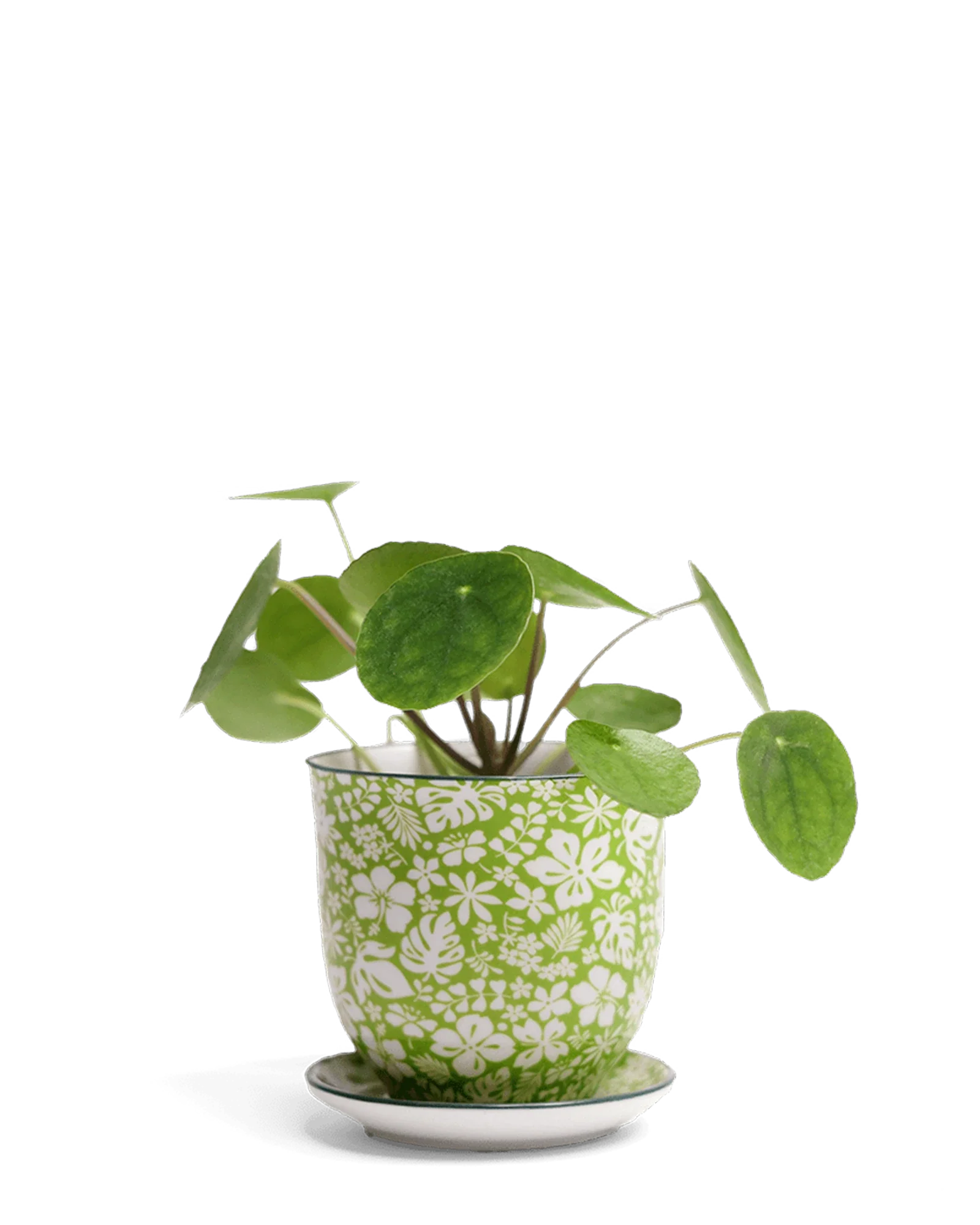 Liberte Small 3.25" Porcelain Plant Pot