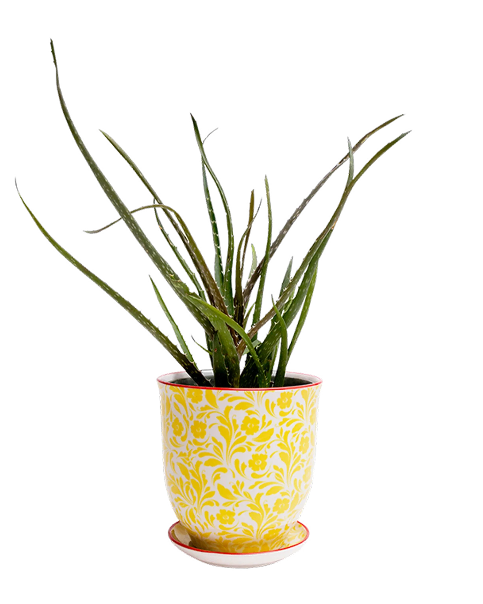 Liberte Small 3.25" Porcelain Plant Pot - Image 12