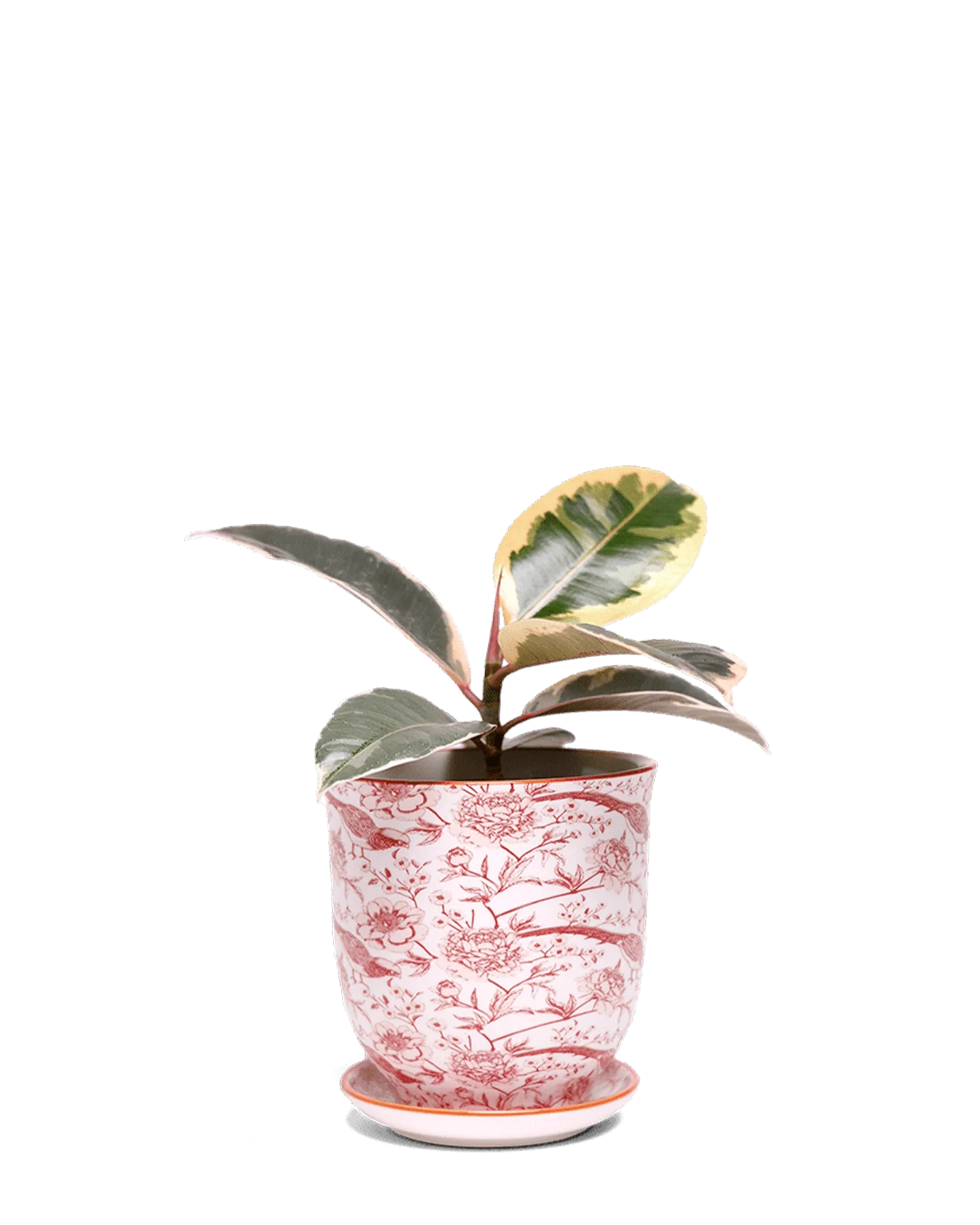 Liberte Small 3.25" Porcelain Plant Pot - Image 35