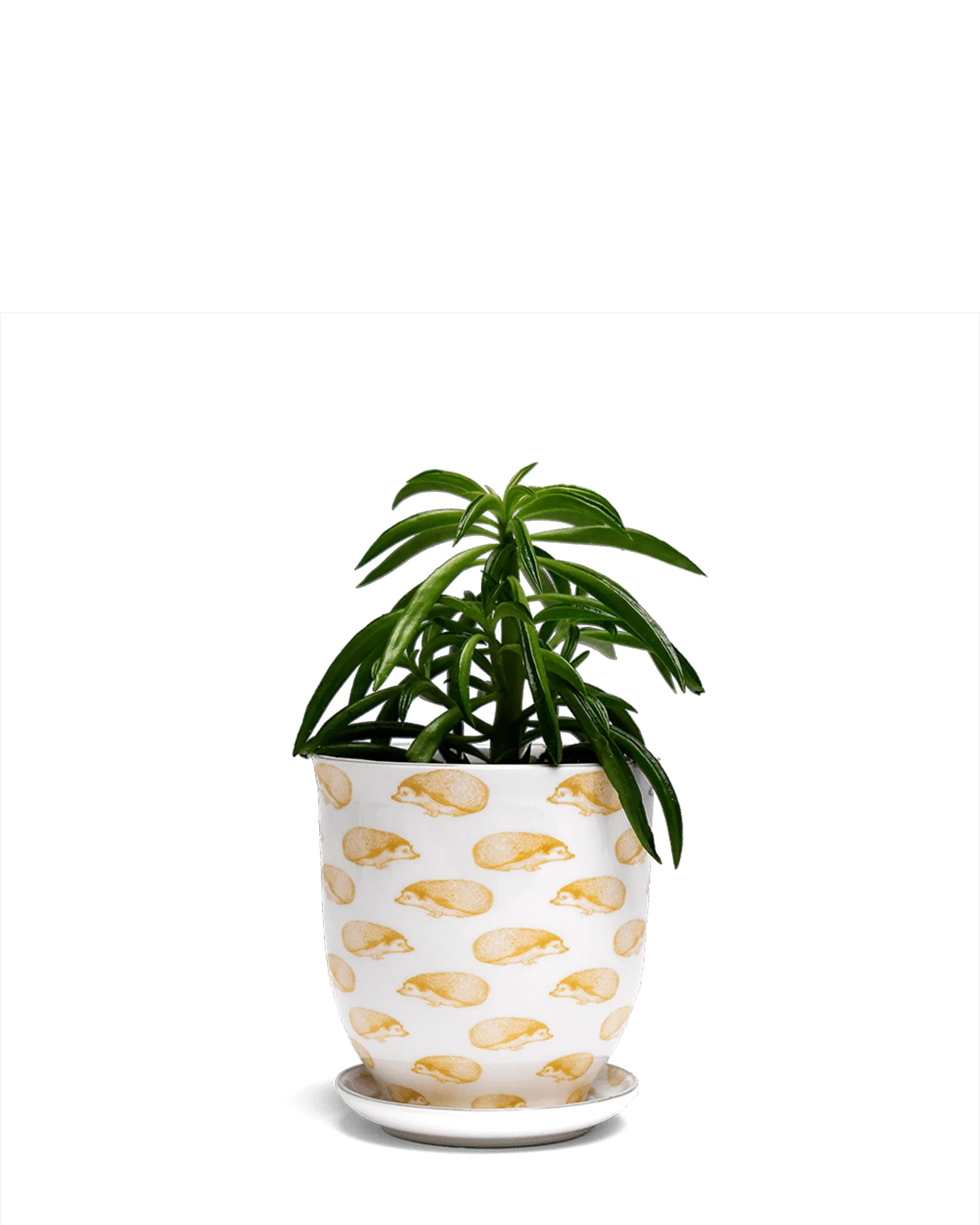 Liberte Small 3.25" Porcelain Plant Pot - Image 41