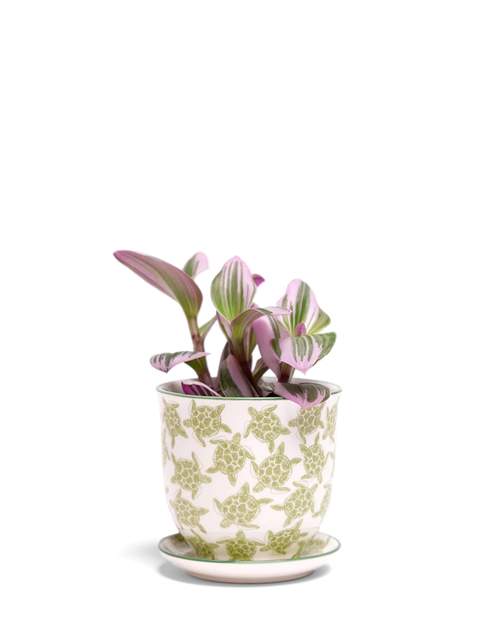 Liberte Small 3.25" Porcelain Plant Pot - Image 48