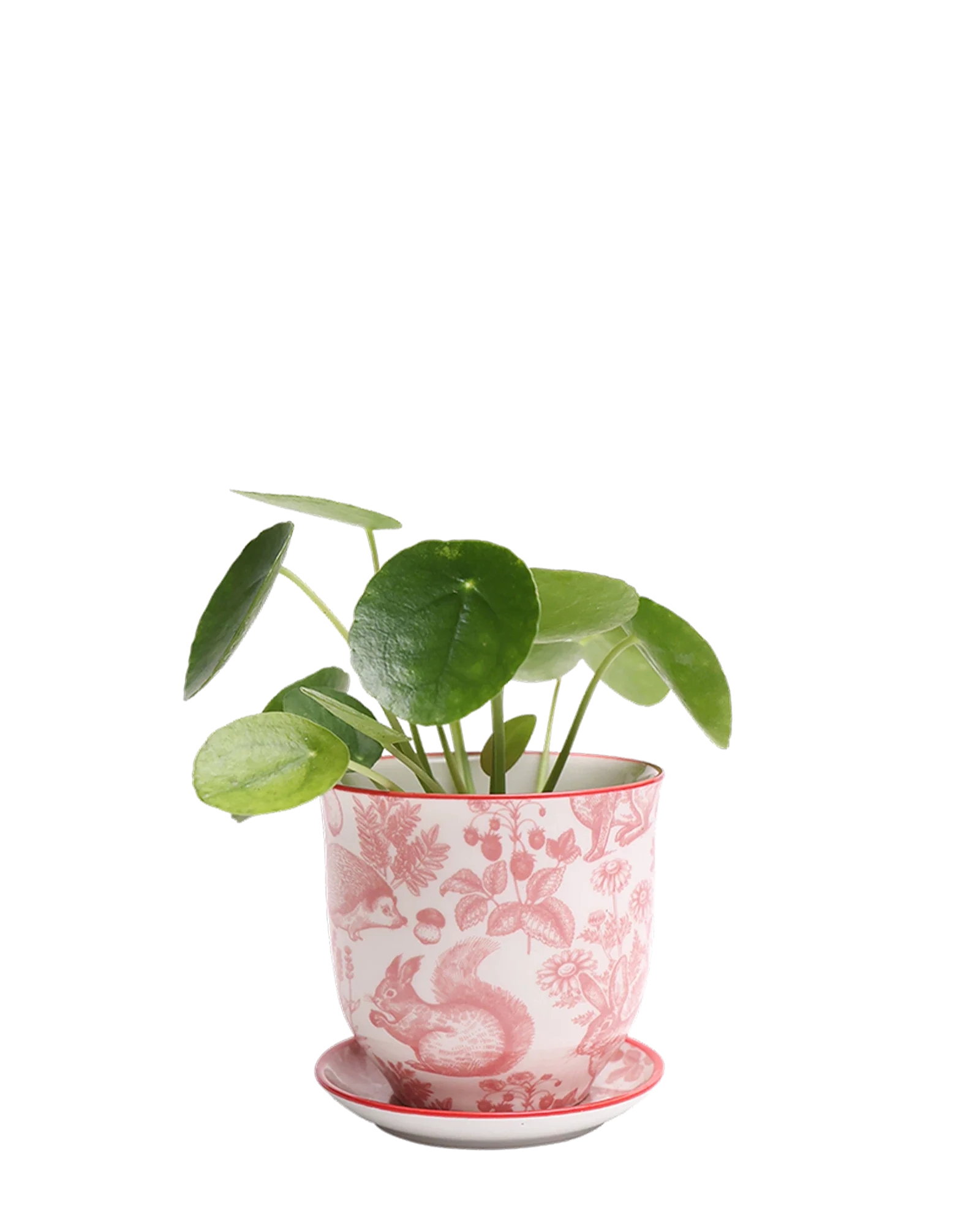Liberte Small 3.25" Porcelain Plant Pot - Image 54