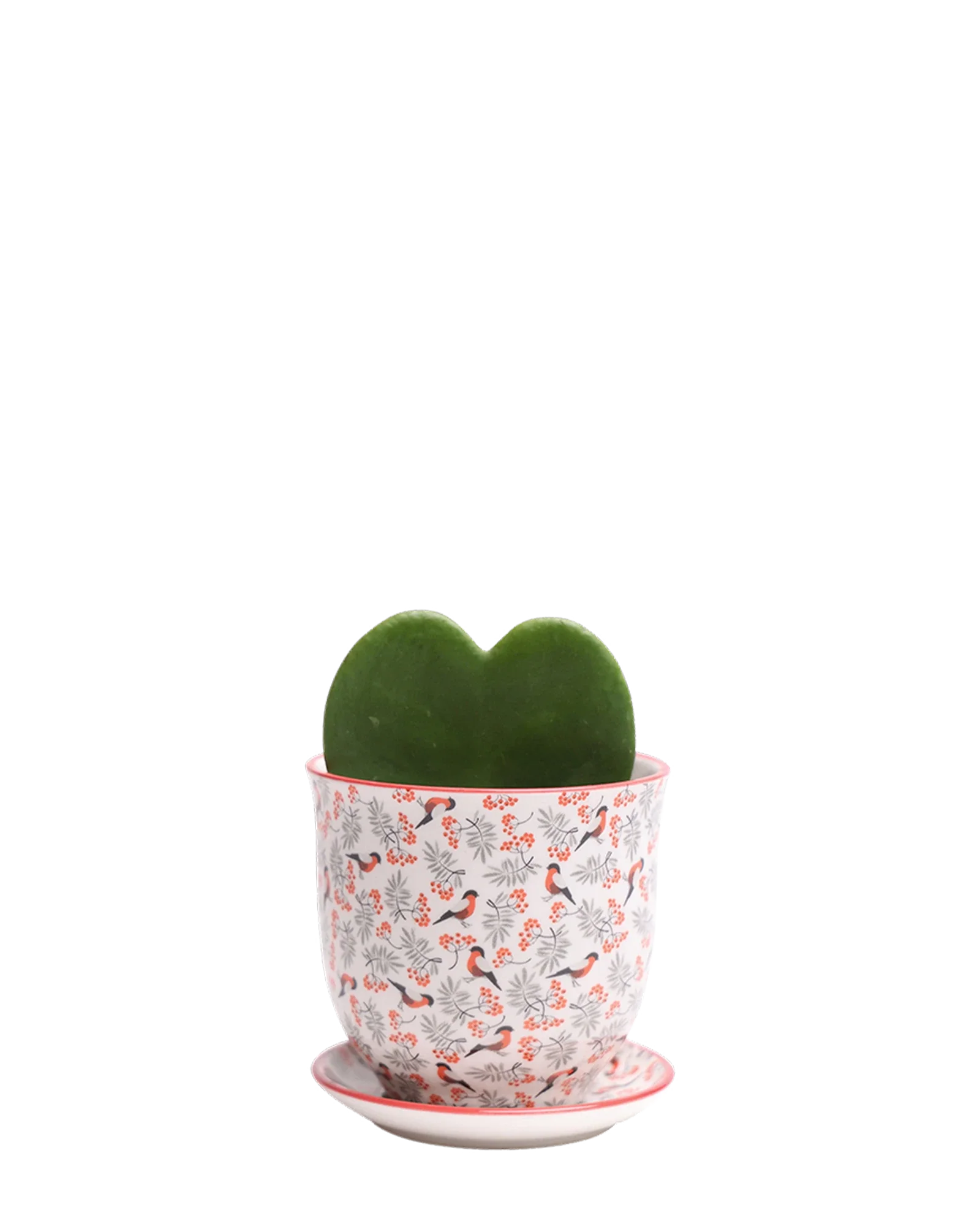 Liberte Small 3.25" Porcelain Plant Pot - Image 59