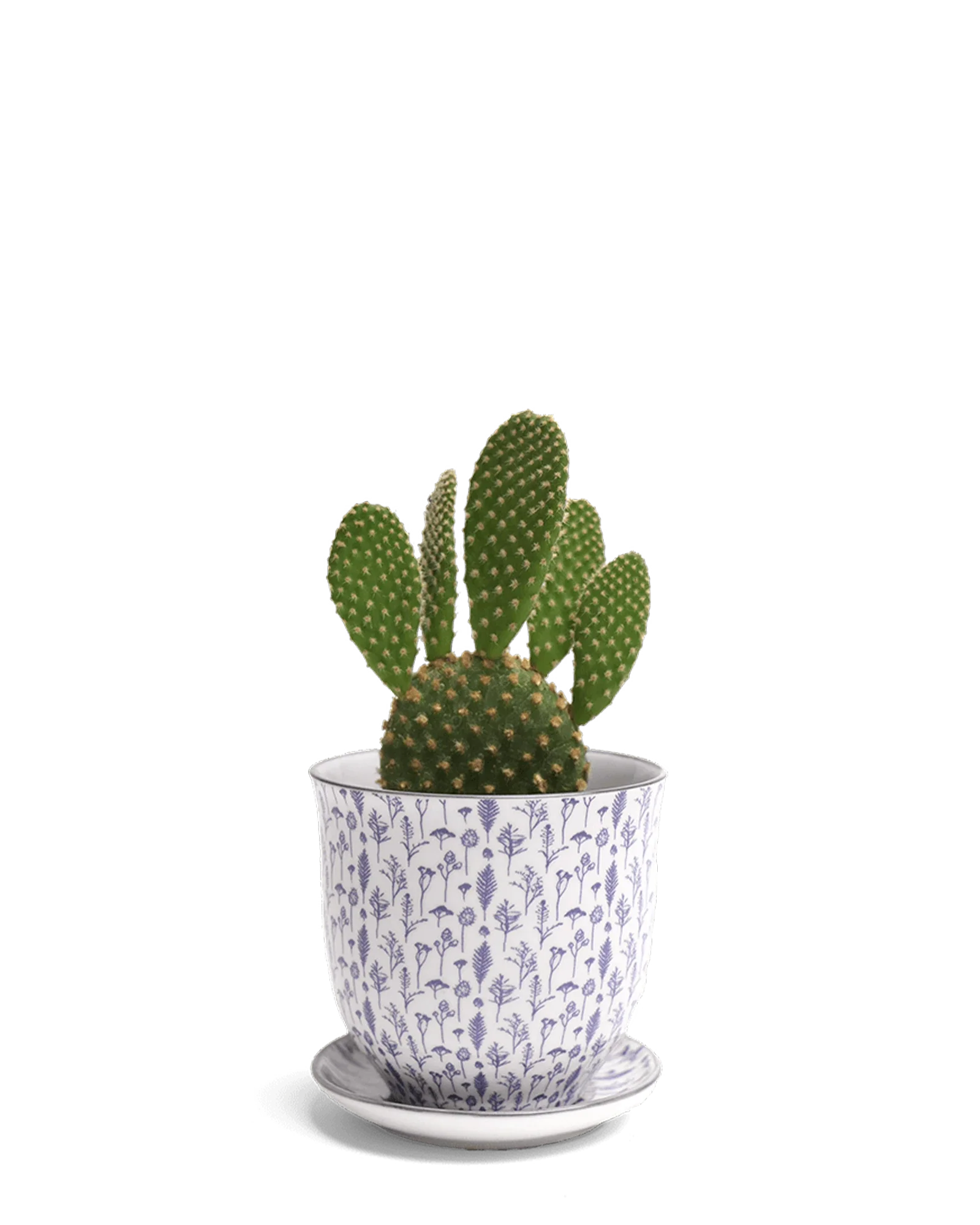 Liberte Small 3.25" Porcelain Plant Pot - Image 63
