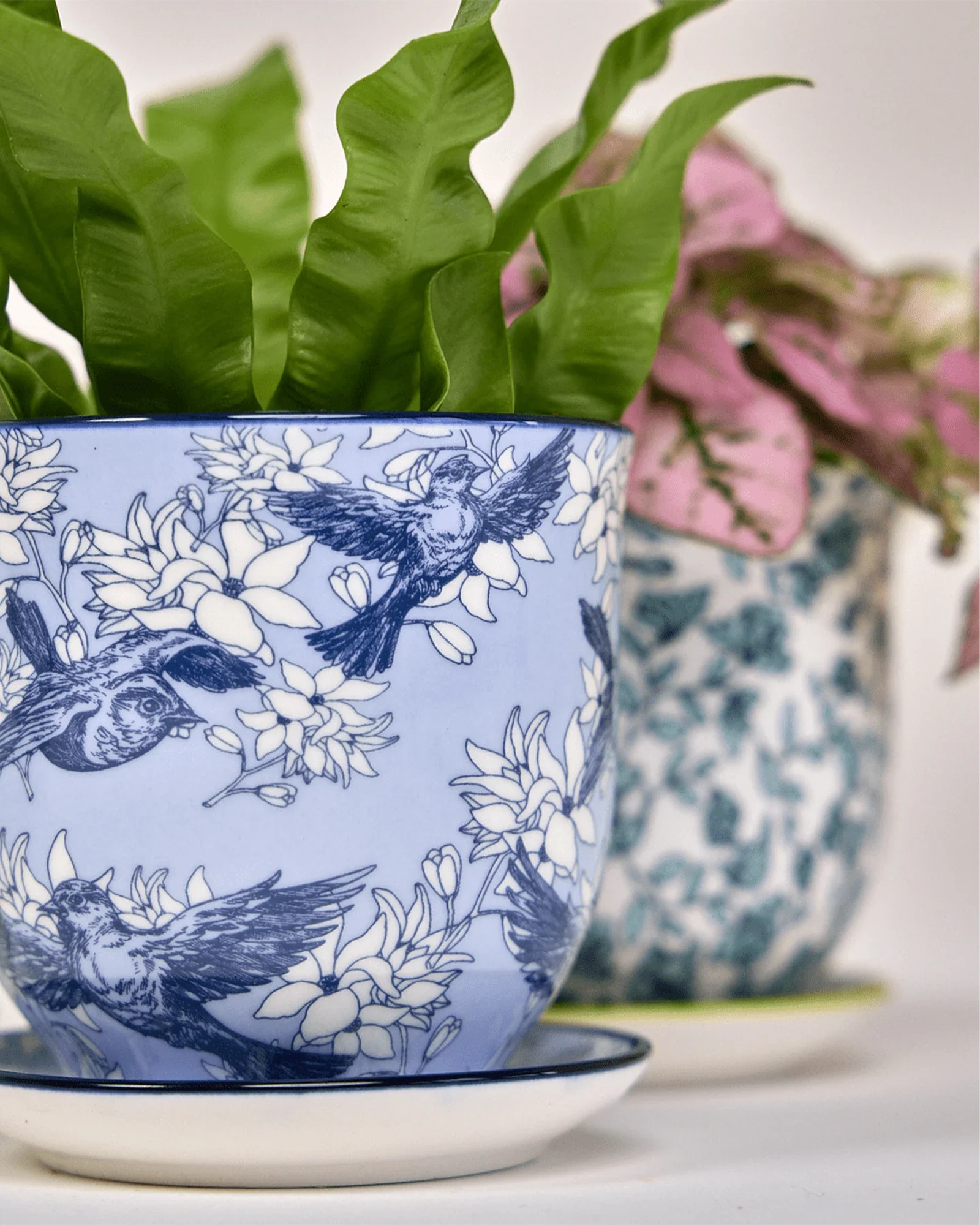 Liberte Small 3.25" Porcelain Plant Pot - Image 7