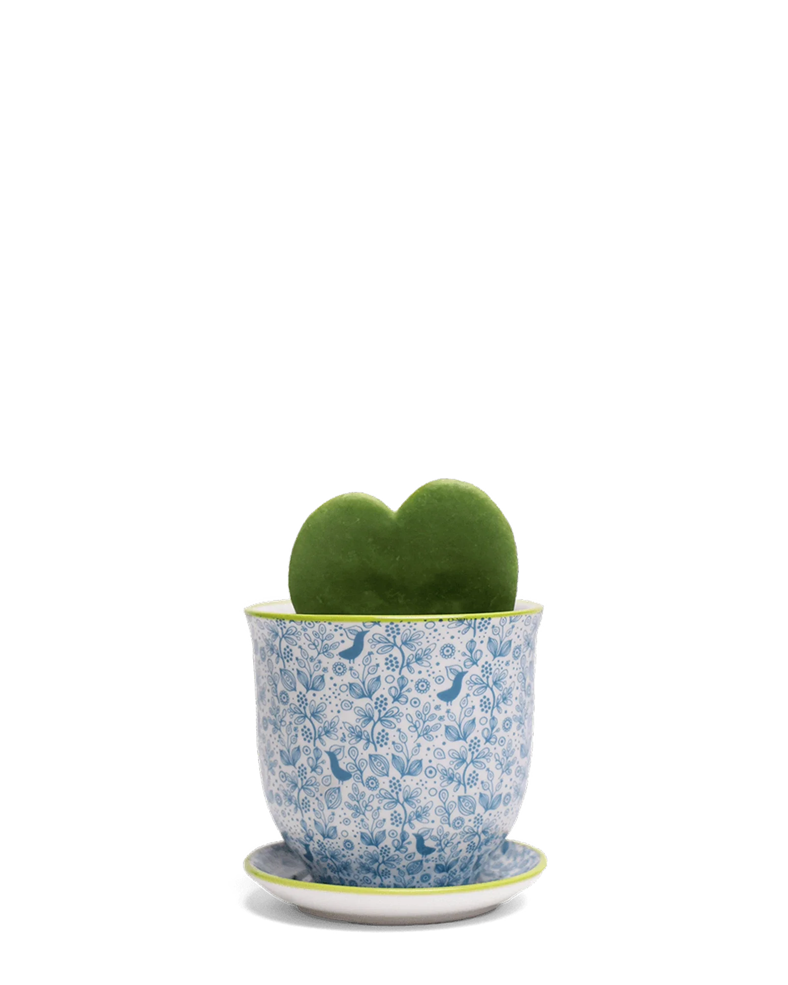 Liberte Small 3.25" Porcelain Plant Pot - Image 89