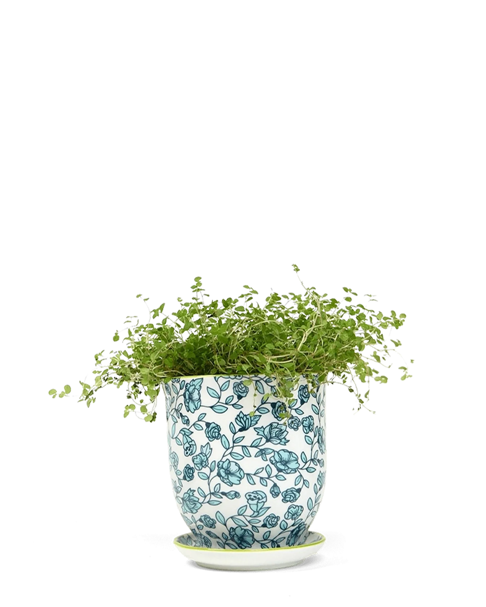 Liberte Medium 4.25" Porcelain Plant Pot
