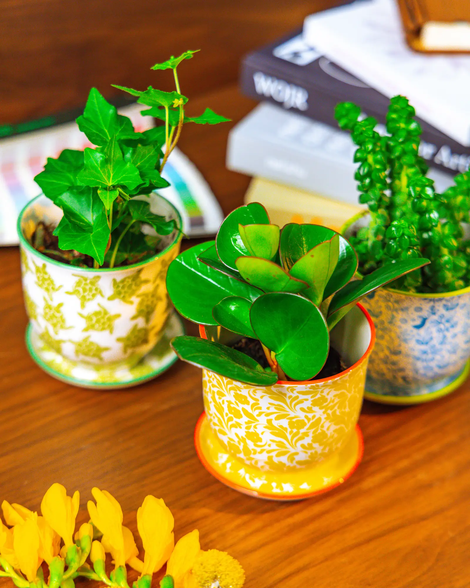 Liberte Small 3.25" Porcelain Plant Pot - Image 14