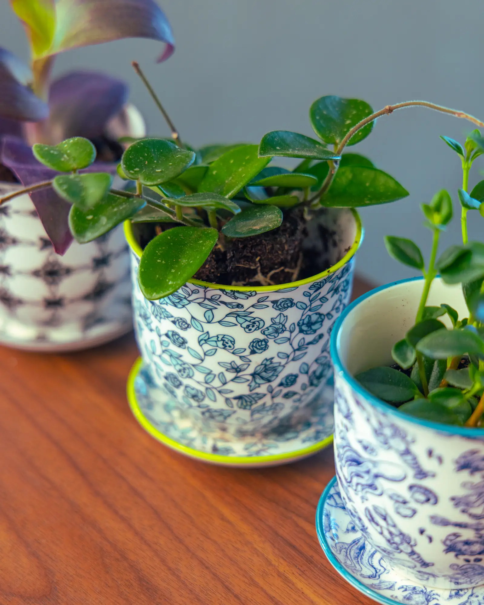 Liberte Small 3.25" Porcelain Plant Pot - Image 19
