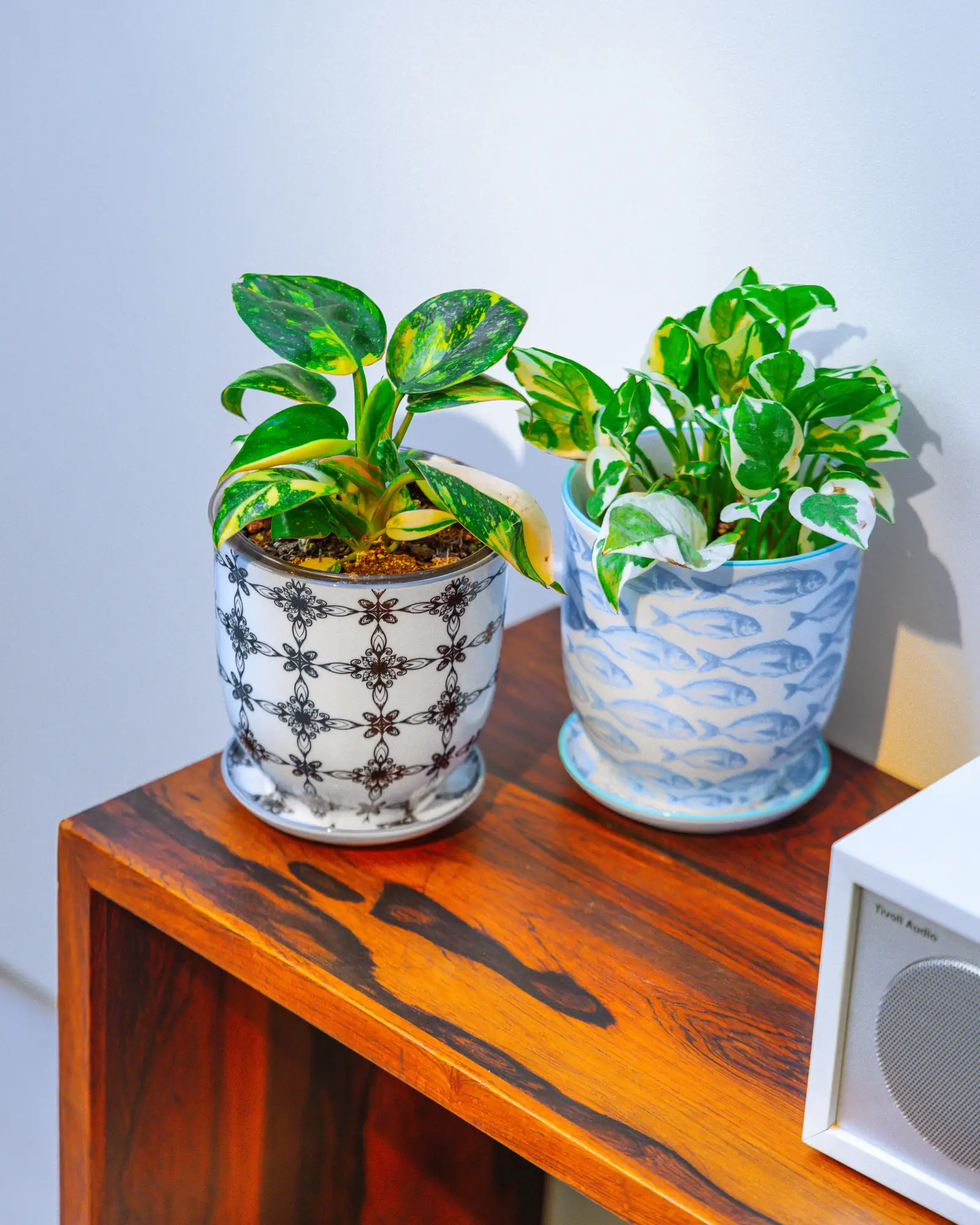 Liberte Small 3.25" Porcelain Plant Pot - Image 83