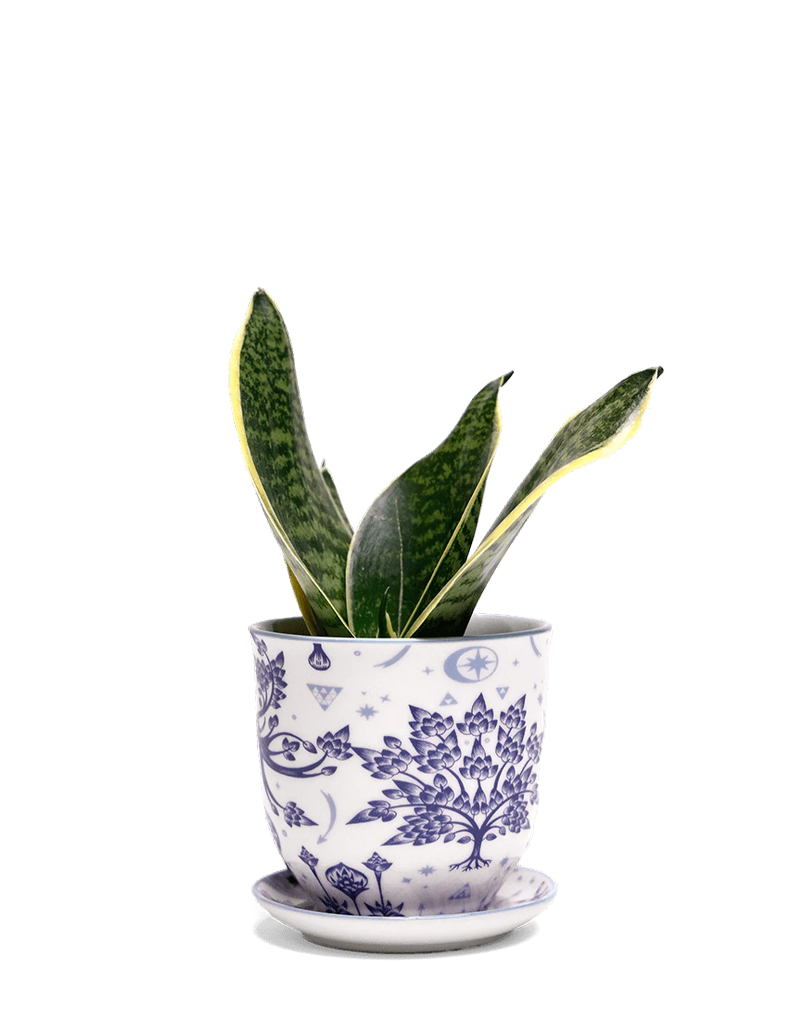 Liberte Medium 4.25" Porcelain Plant Pot - Image 45