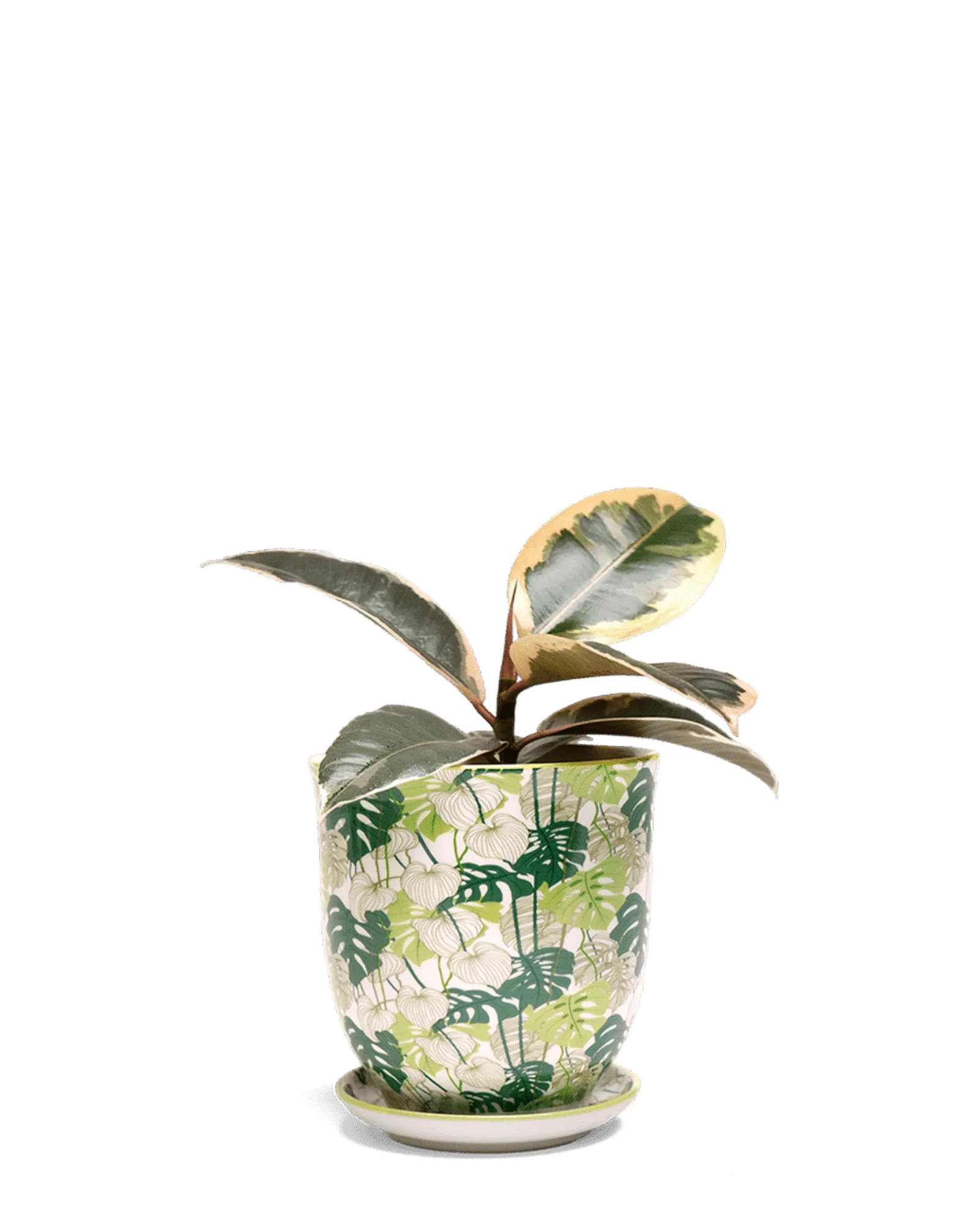 Liberte Medium 4.25" Porcelain Plant Pot - Image 59