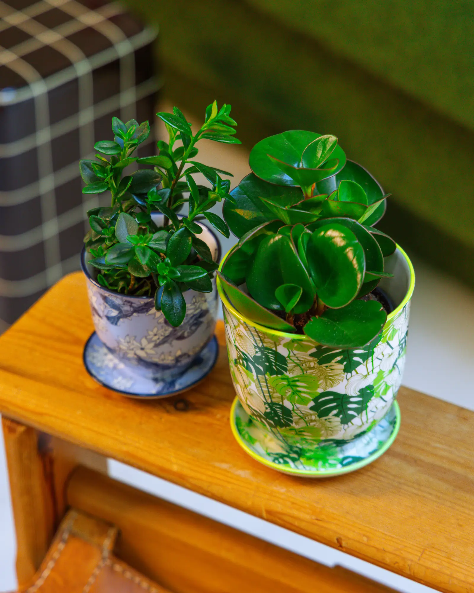 Liberte Small 3.25" Porcelain Plant Pot - Image 73
