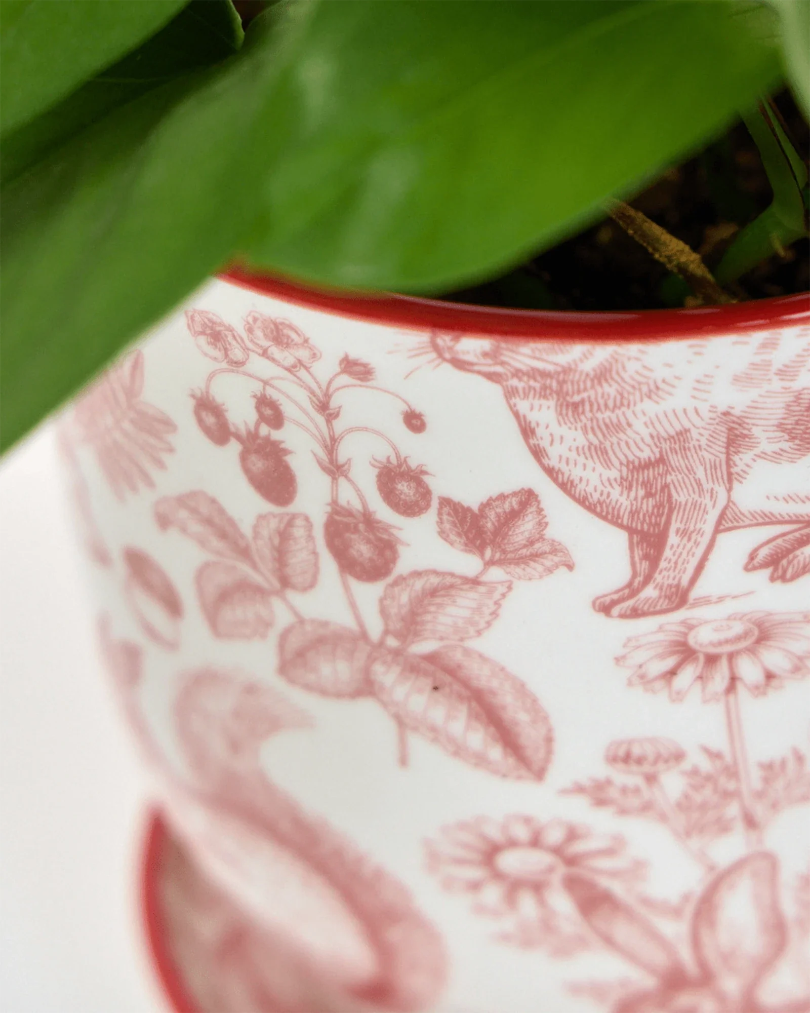 Liberte Medium 4.25" Porcelain Plant Pot - Image 71