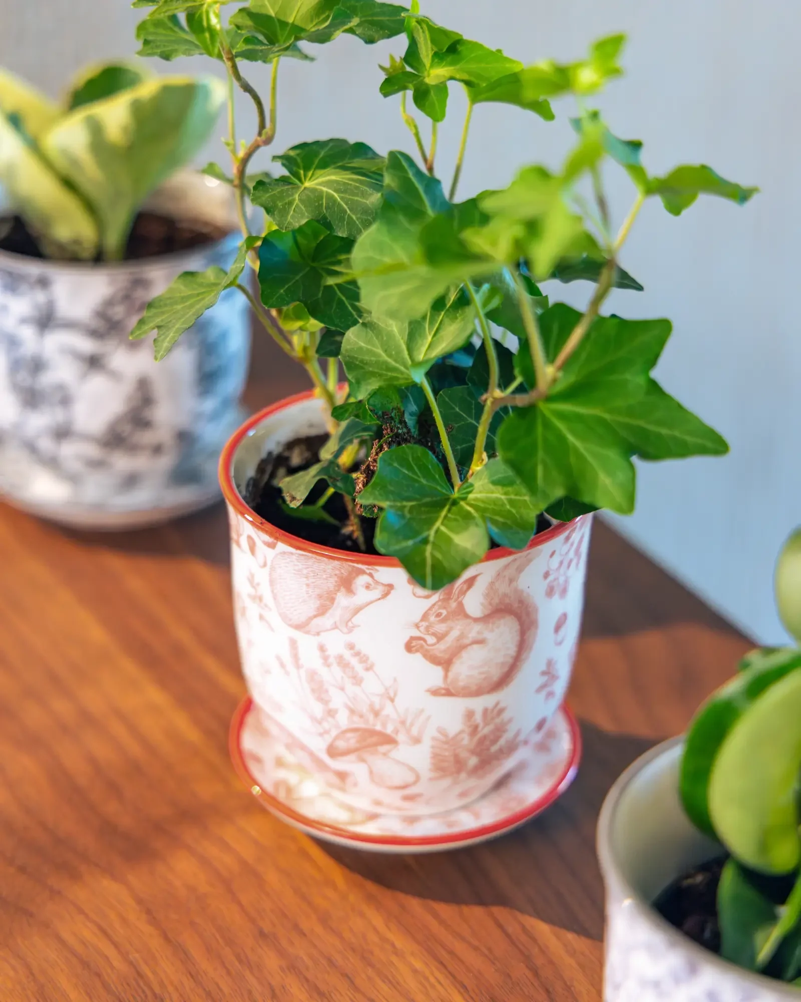 Liberte Small 3.25" Porcelain Plant Pot - Image 57