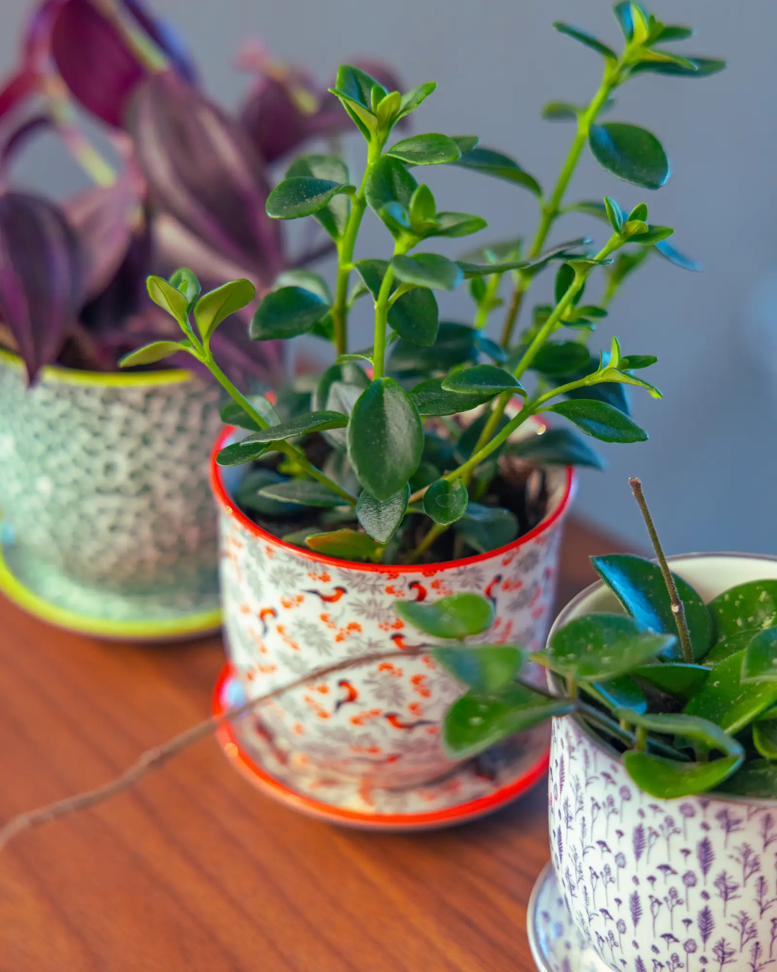 Liberte Small 3.25" Porcelain Plant Pot - Image 61