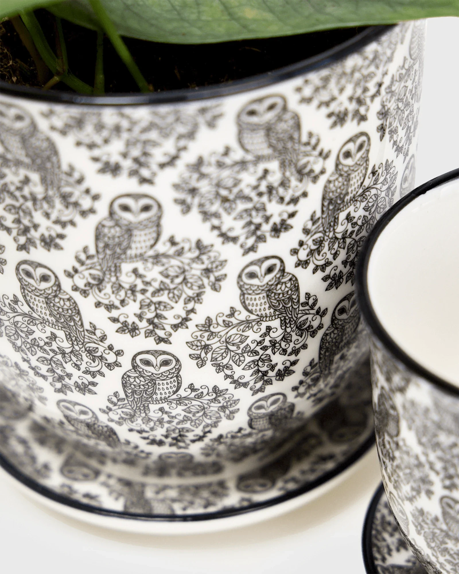 Liberte Medium 4.25" Porcelain Plant Pot - Image 8