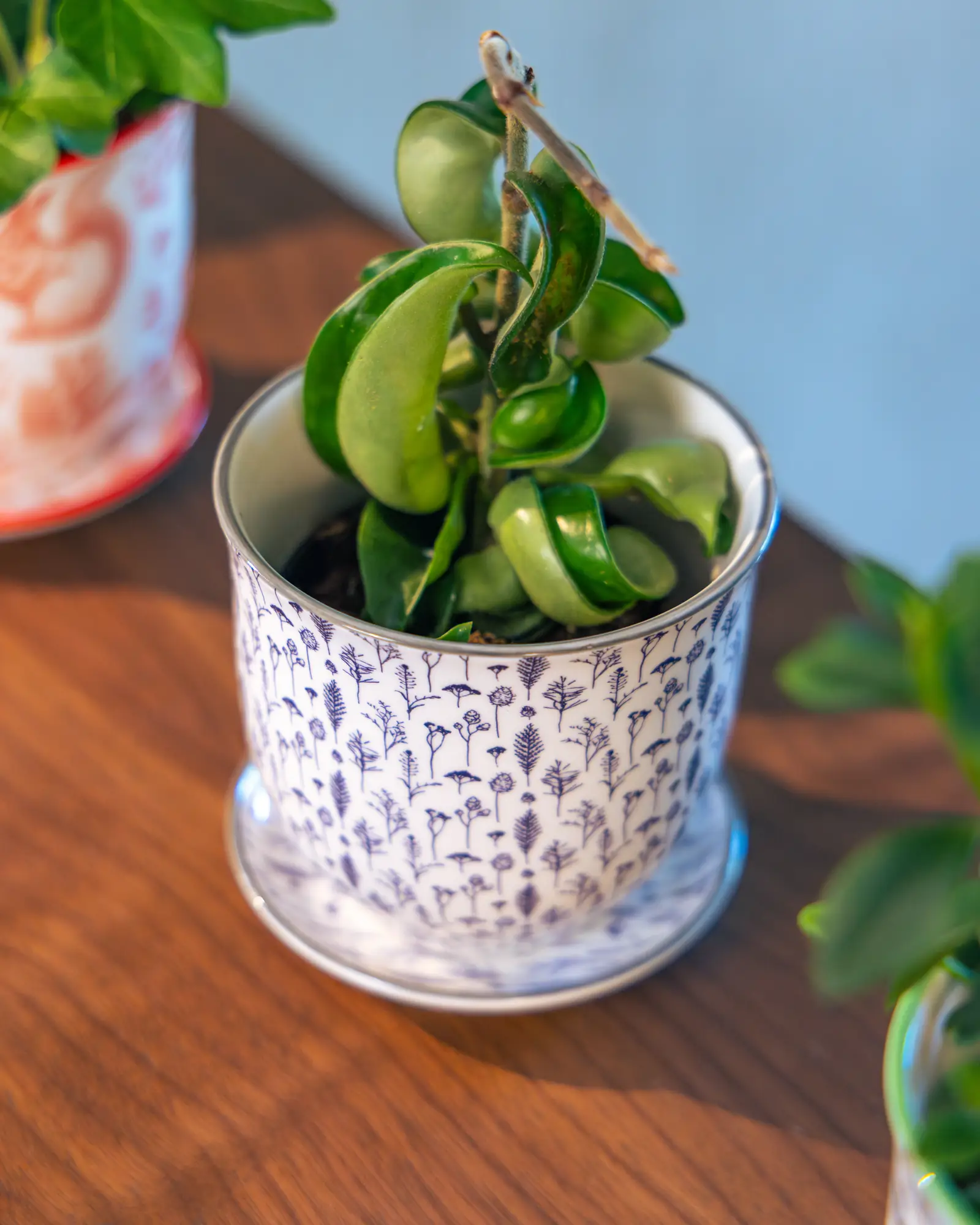 Liberte Small 3.25" Porcelain Plant Pot - Image 65