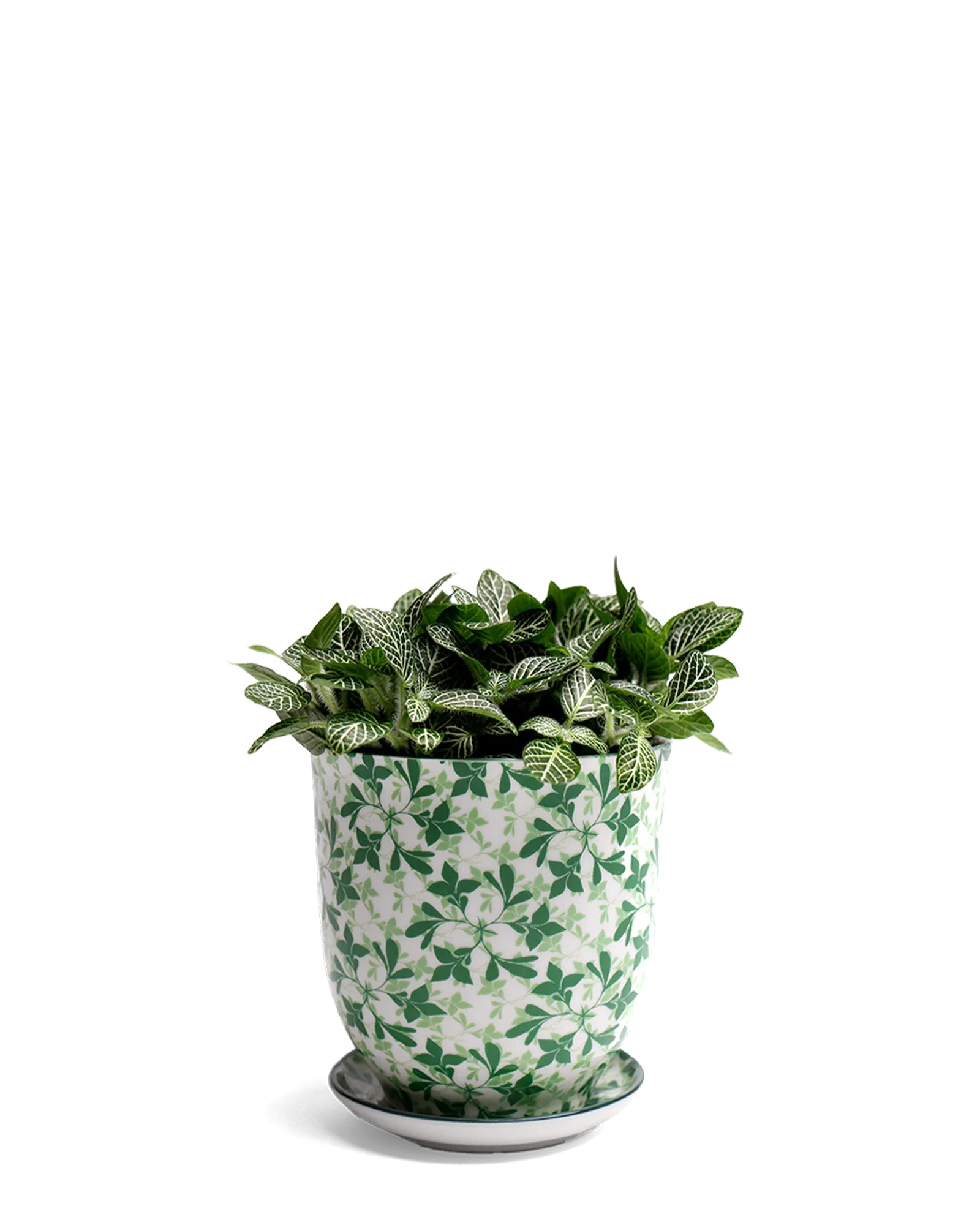 Liberte Medium 4.25" Porcelain Plant Pot - Image 85