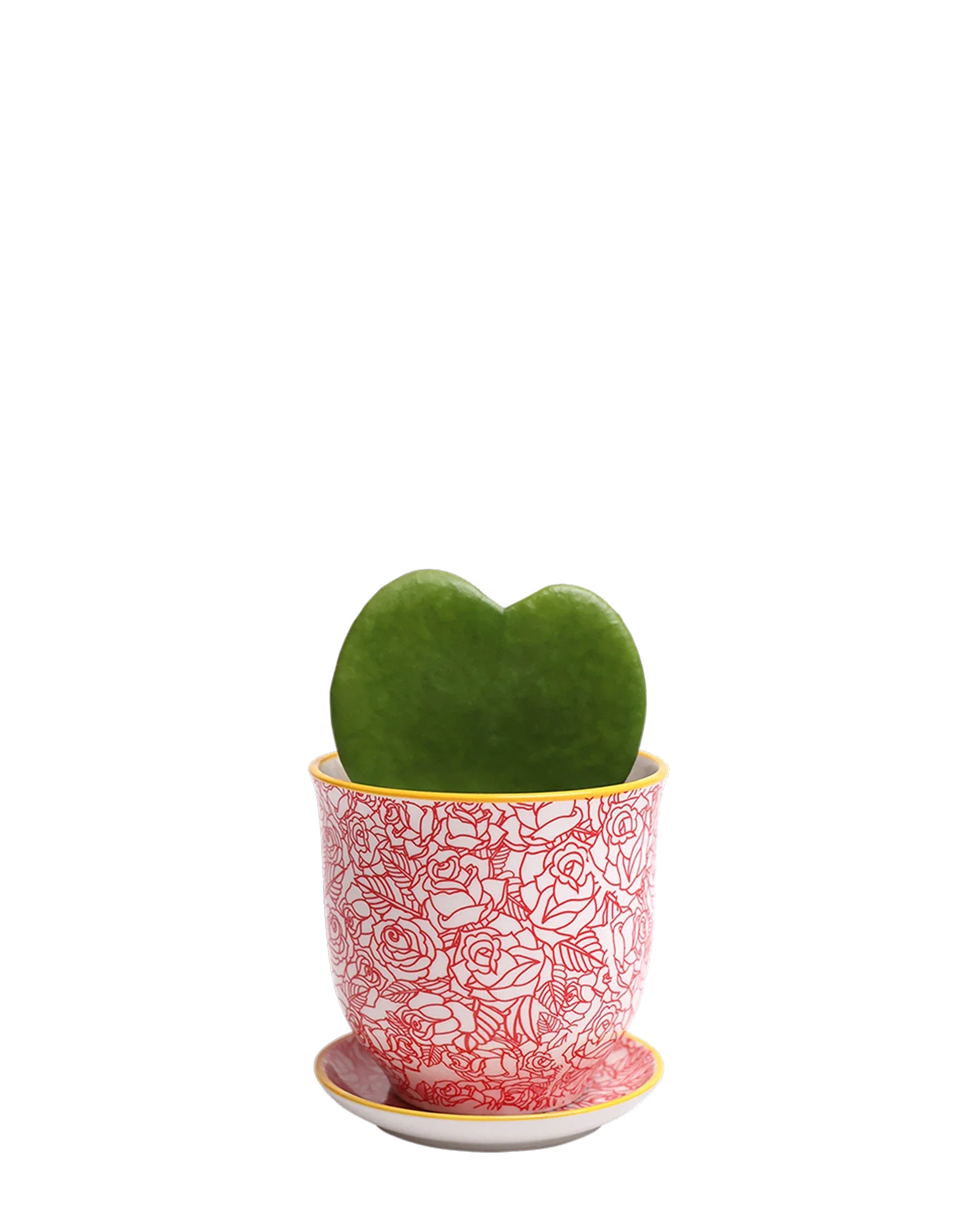 Liberte Medium 4.25" Porcelain Plant Pot - Image 89