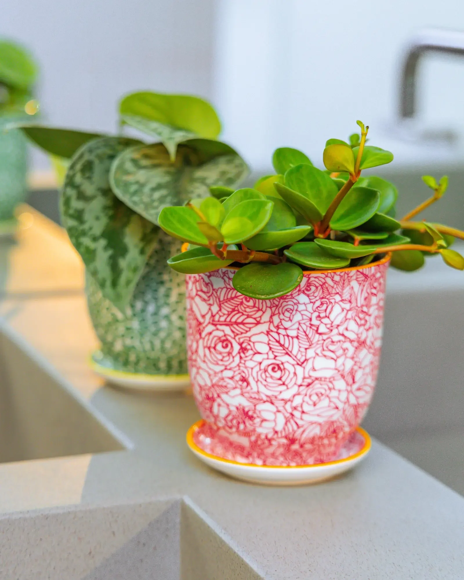 Liberte Small 3.25" Porcelain Plant Pot - Image 70
