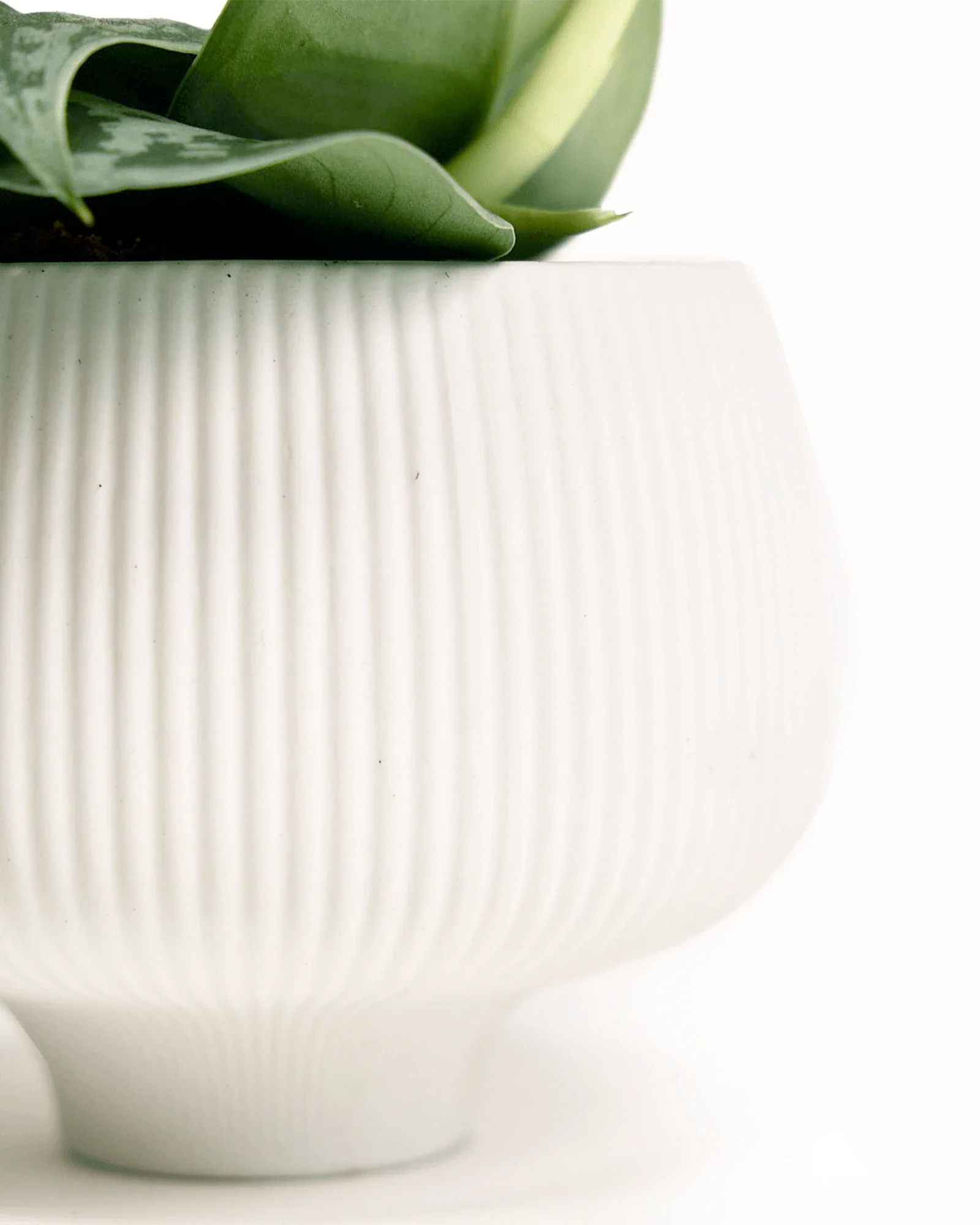 Lilo Large Porcelain Modern Indoor Plant Pot - White - Image 3