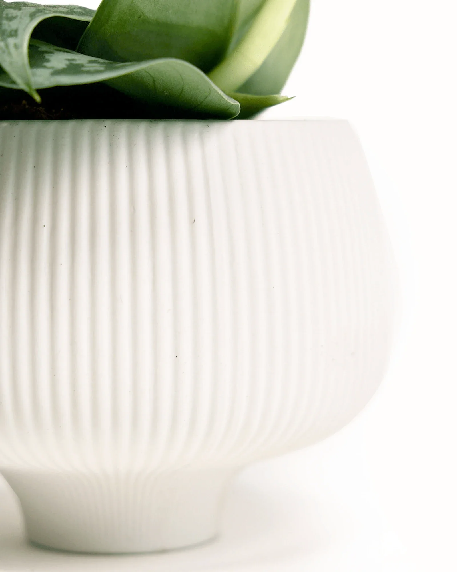 Lilo Porcelain Modern Indoor Plant Pot | 4.5 inch - Image 9