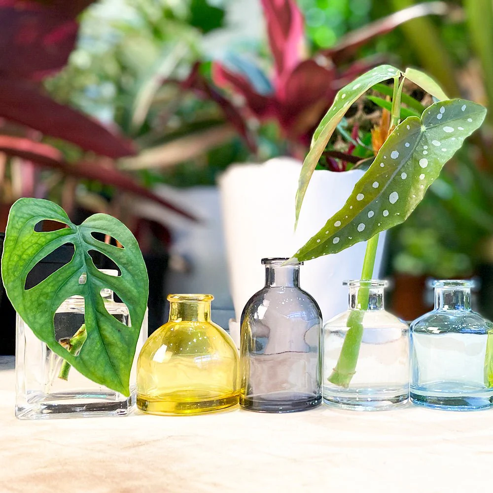 Loft Glass Vintage Bud Vases For Weddings - Image 124