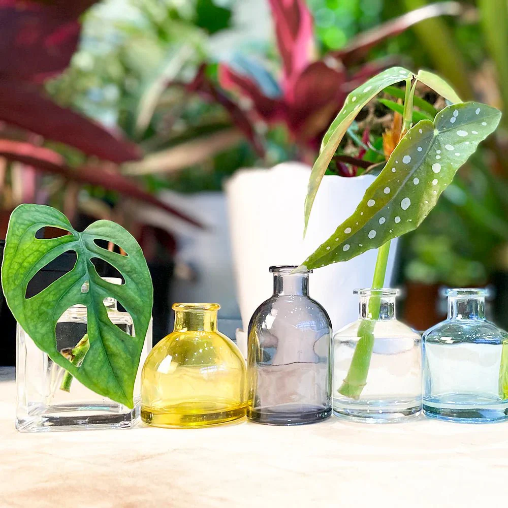 Loft Glass Vintage Bud Vases For Weddings - Image 14