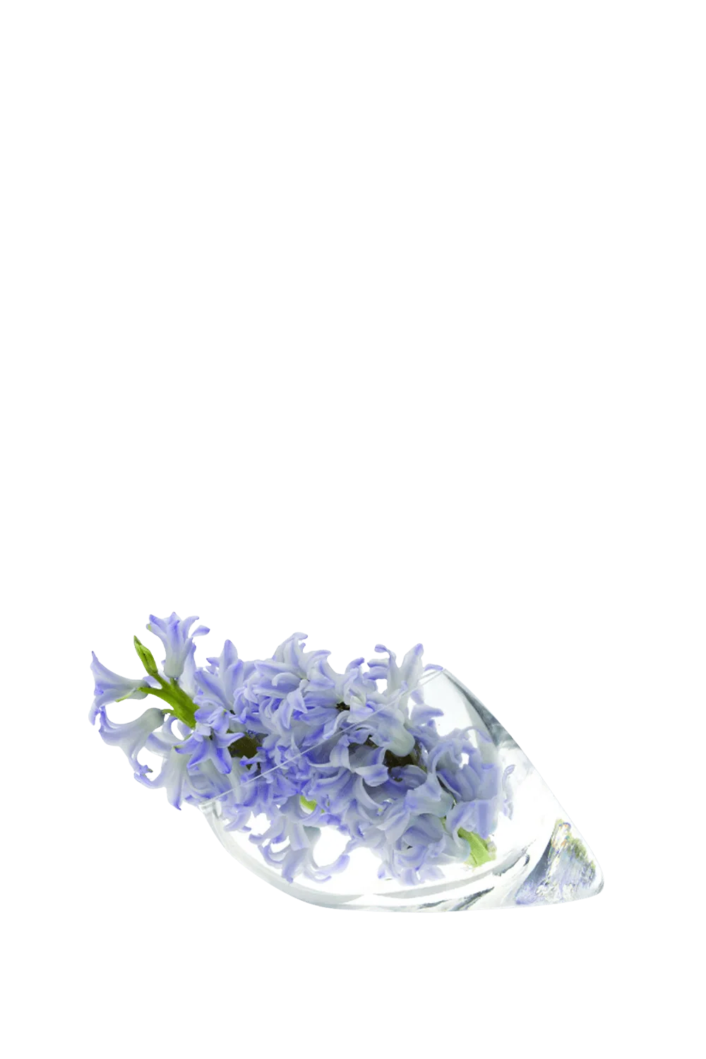 Lot Glass Modern Clear Flower Vase