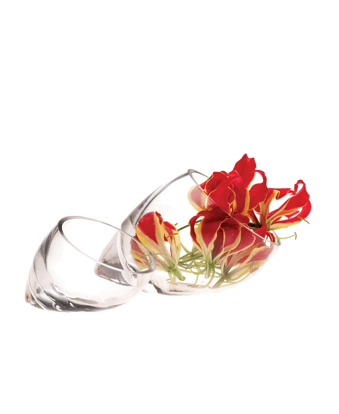 Lot Glass Modern Clear Flower Vase - Image 2