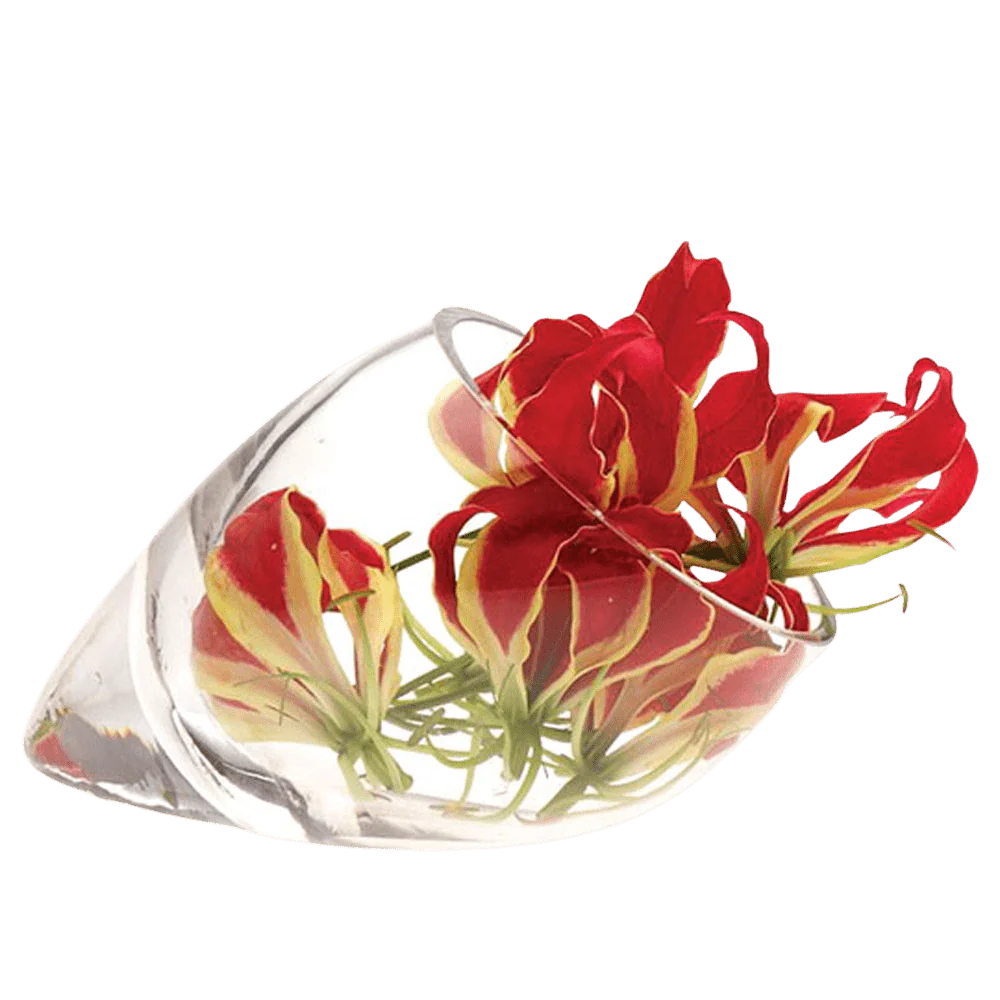Lot Glass Modern Clear Flower Vase - Image 3