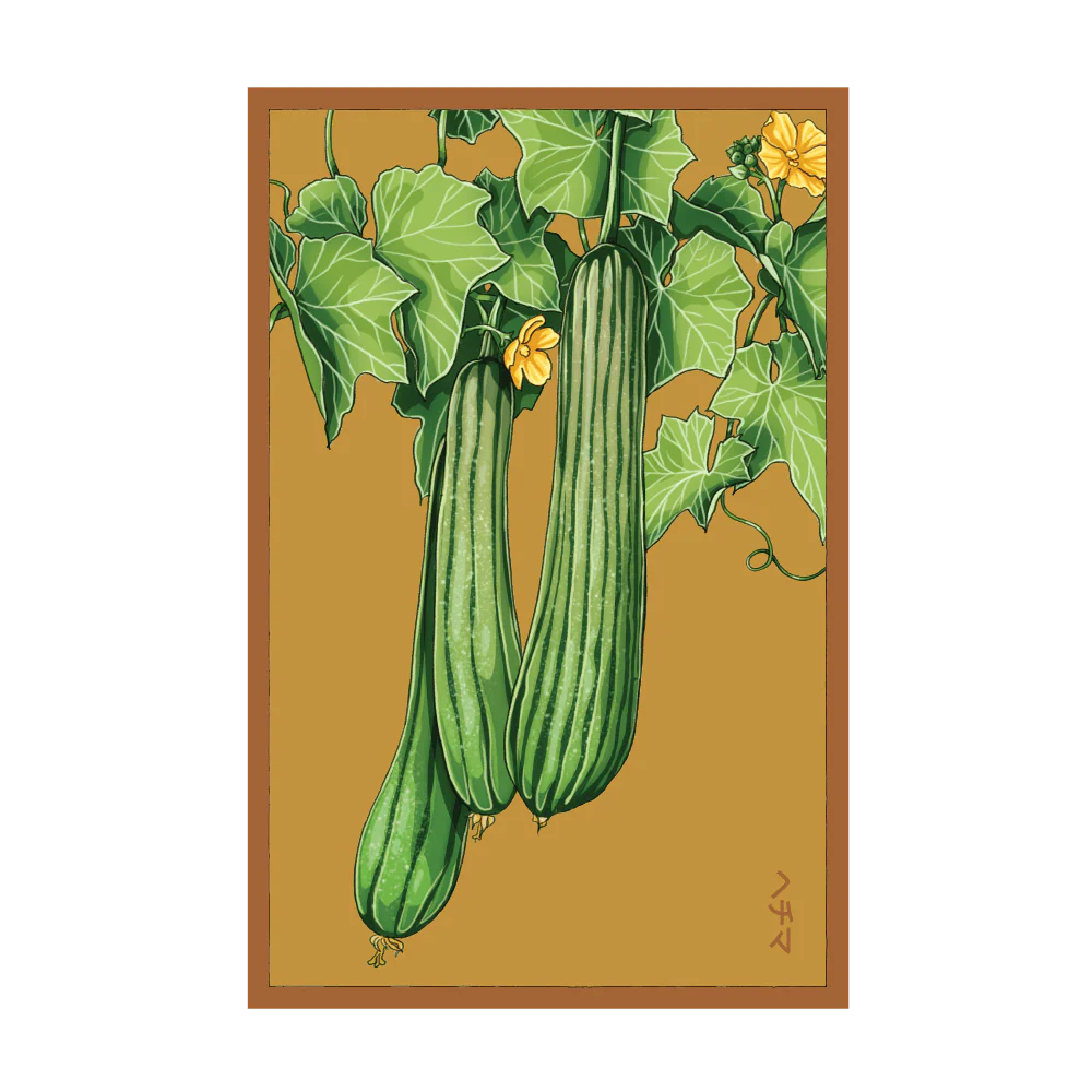 Luffa Sponge Vegetable Seeds Packet