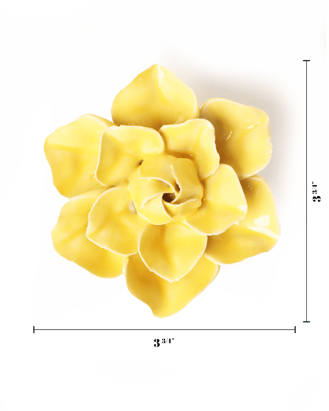 March Birth Flower - Daffodil - Image 3