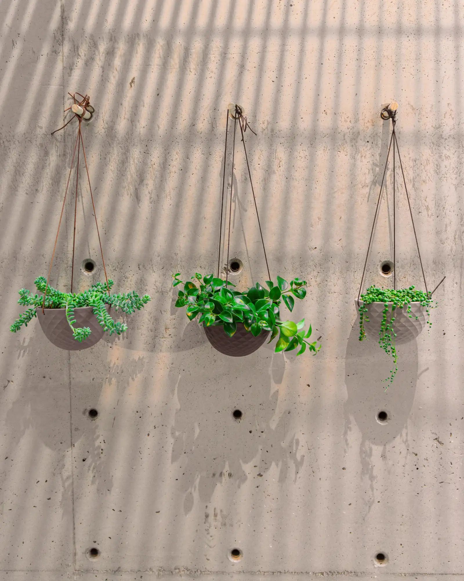 Mini Mofo Porcelain Modern Hanging Planter - Light Grey - Image 4