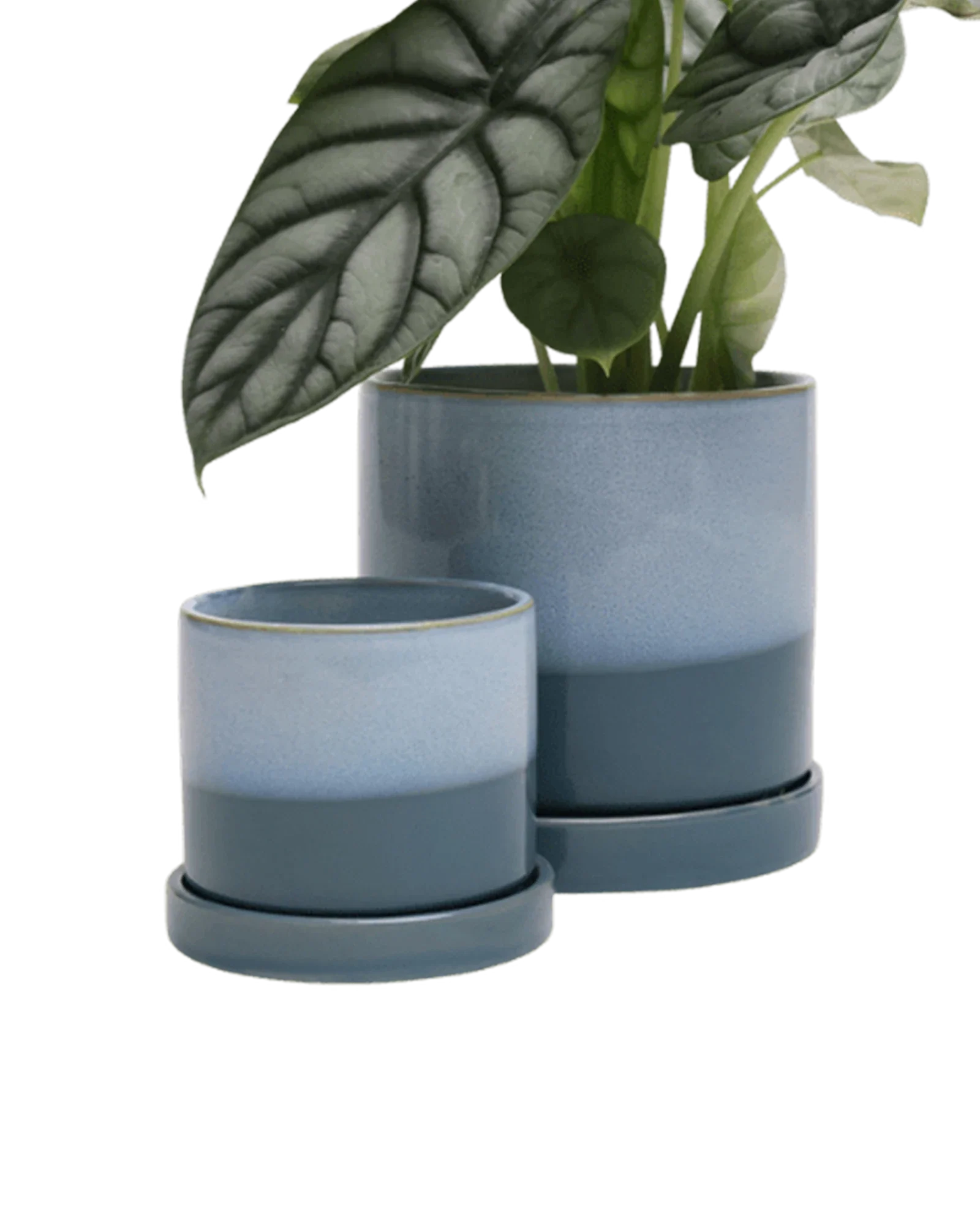 Minute Medium Ceramic Pot with Drainage Hole and Saucer, Blue Aqua - Image 3