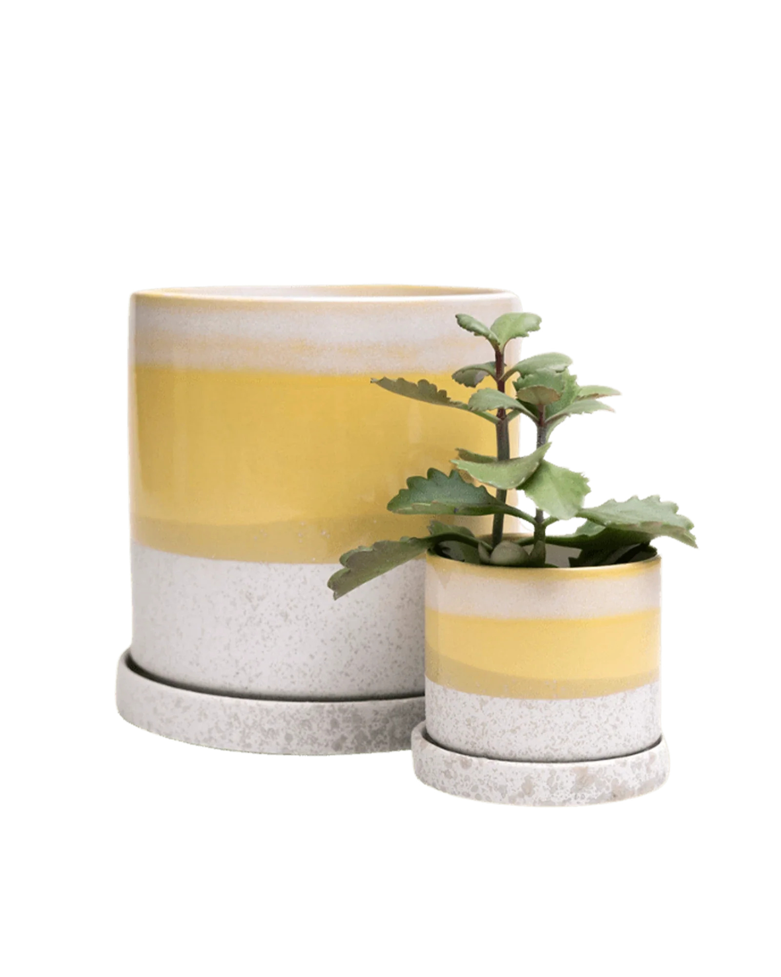 Minute Medium Ceramic Pot with Drainage Hole and Saucer, Boombastic - Image 5