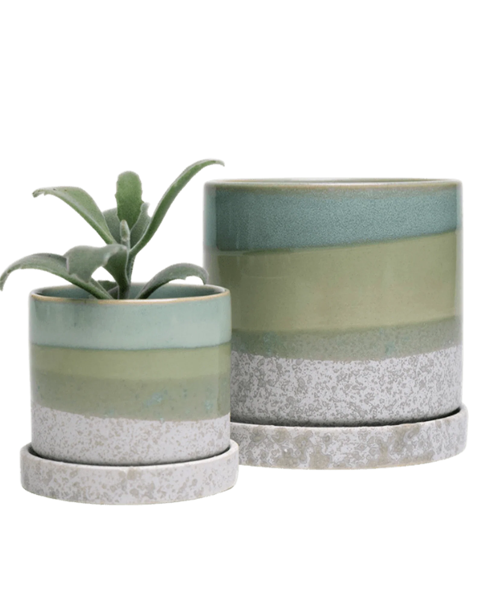 Minute Medium Ceramic Pot with Drainage Hole and Saucer, Green Cement - Image 5