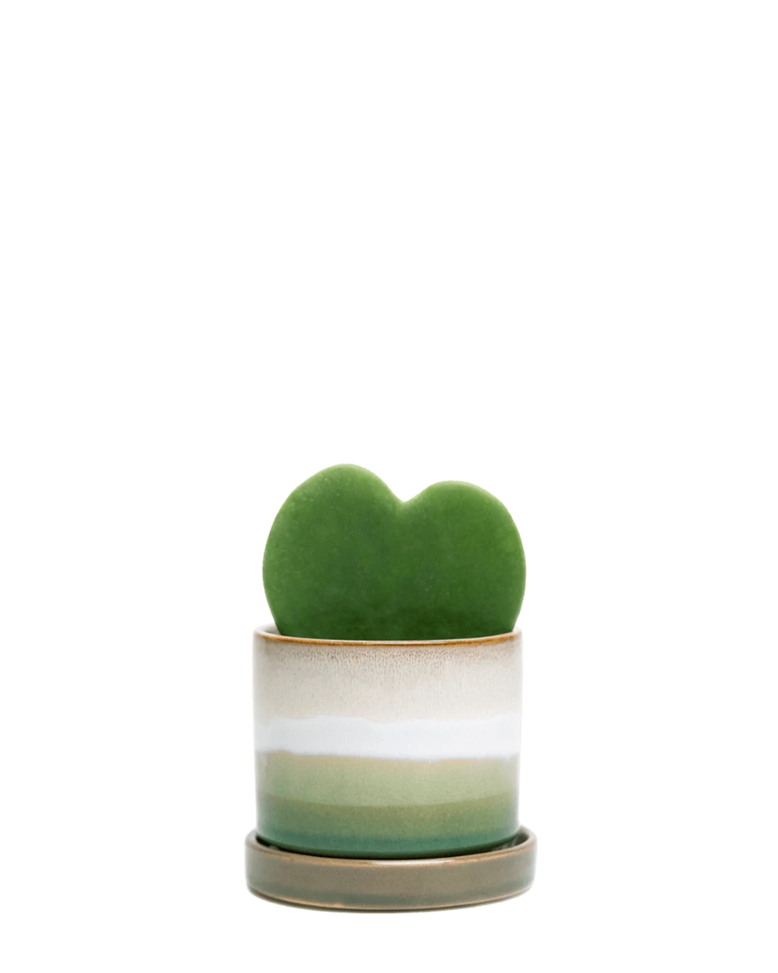 Minute Medium 5 inch Plant Pot, Green Layers