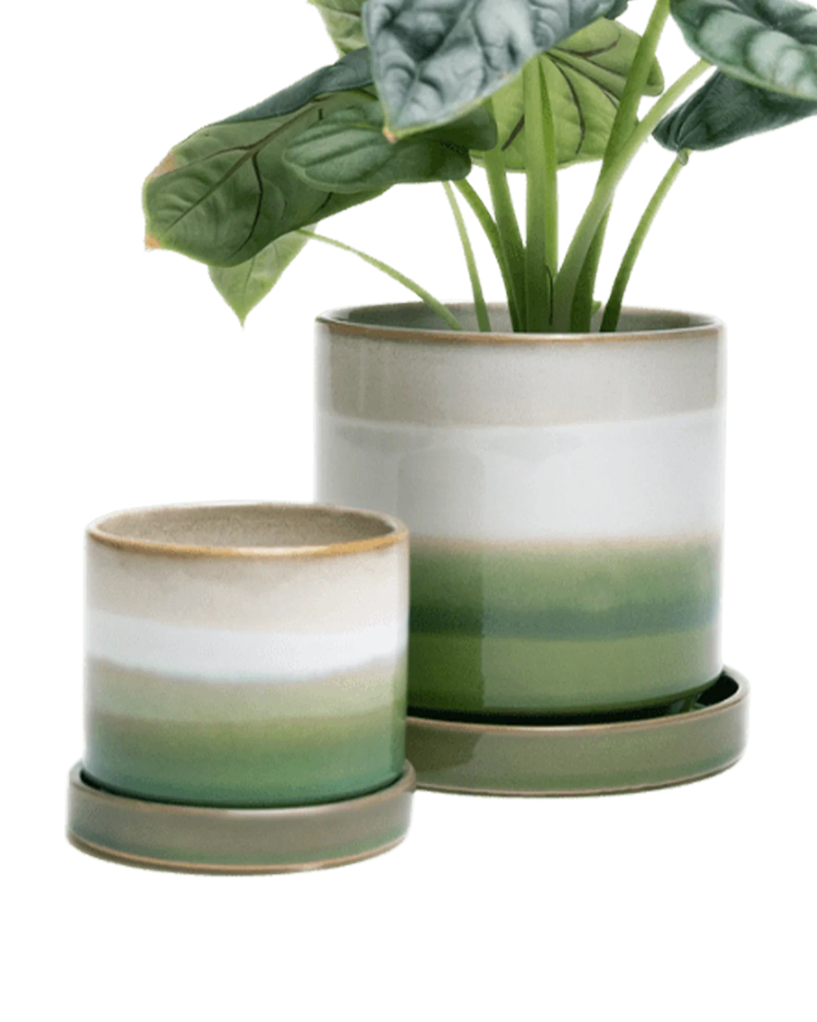 Minute Medium 5 inch Plant Pot, Green Layers - Image 3