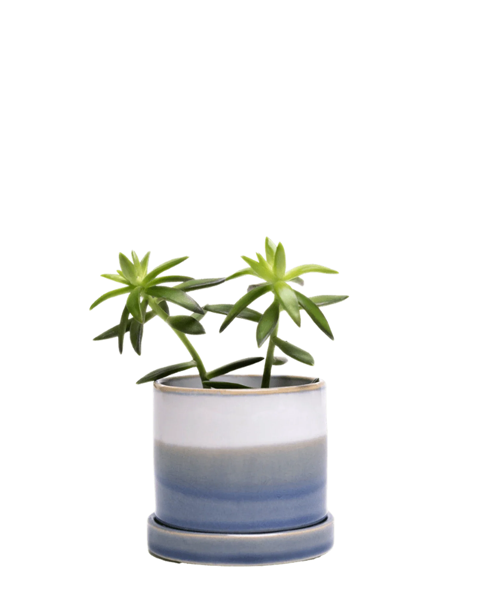 Minute Large Ceramic Pot with Drainage Hole and Saucer, Blue Layers