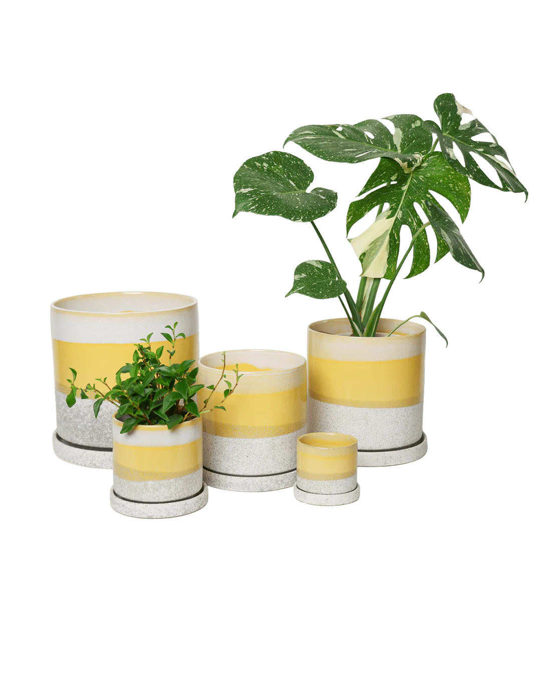 Minute Large Ceramic Pot with Drainage Hole and Saucer, Boombastic - Image 6