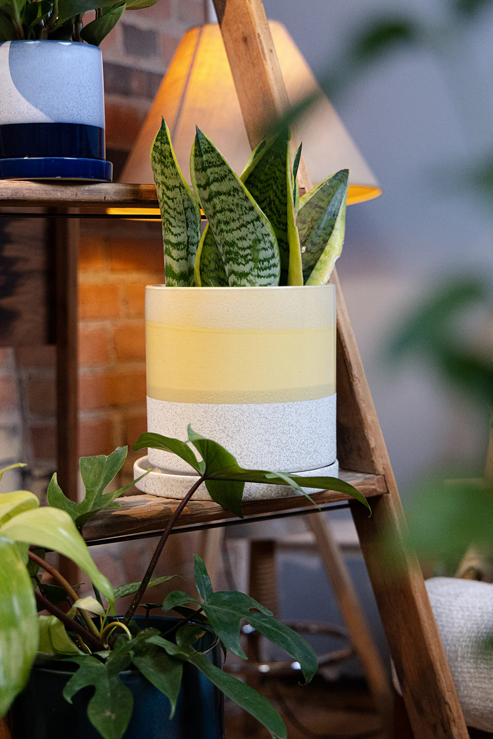 Minute Large Ceramic Pot with Drainage Hole and Saucer, Boombastic - Image 9
