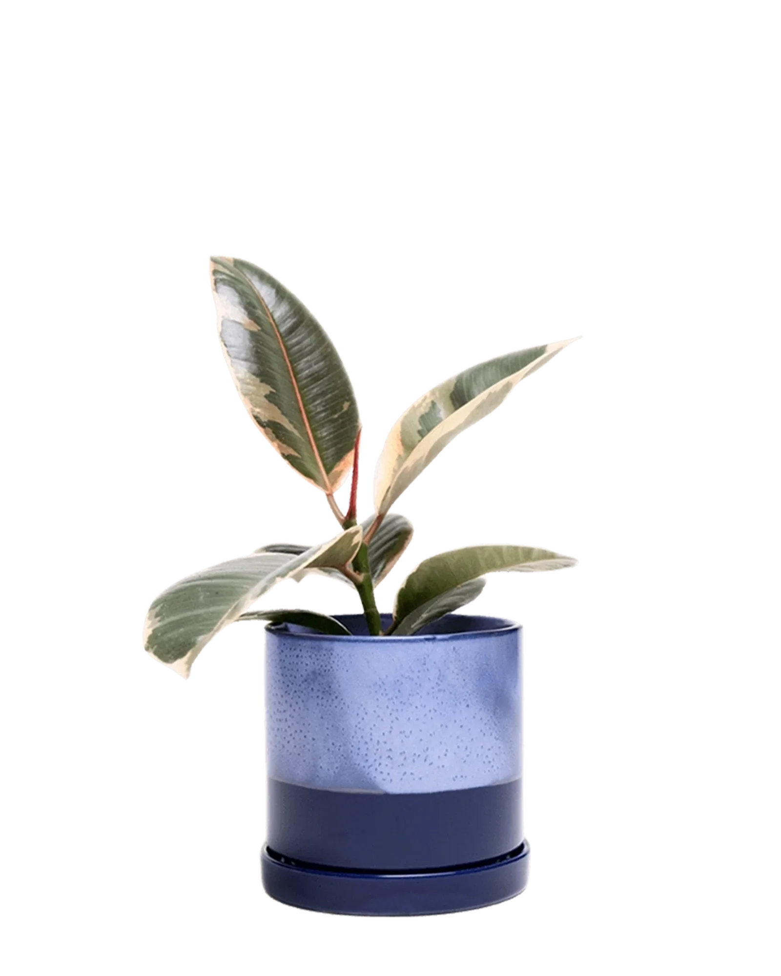 Minute Large Ceramic Pot with Drainage Hole and Saucer, Cobalt Blue