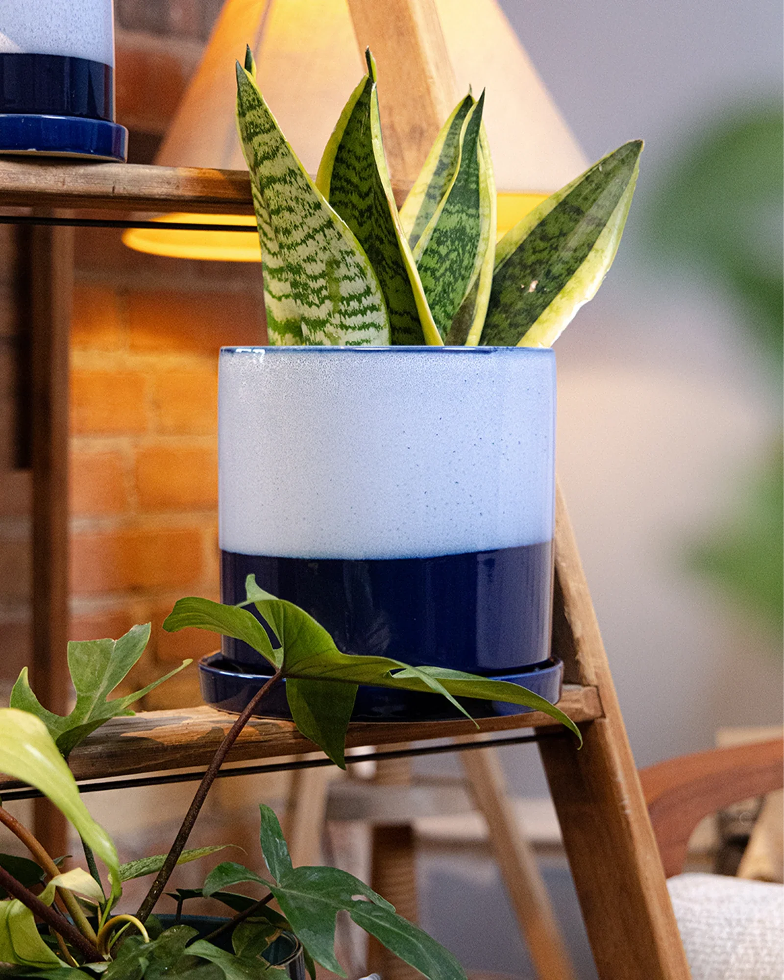 Minute Large Ceramic Pot with Drainage Hole and Saucer, Cobalt Blue - Image 8